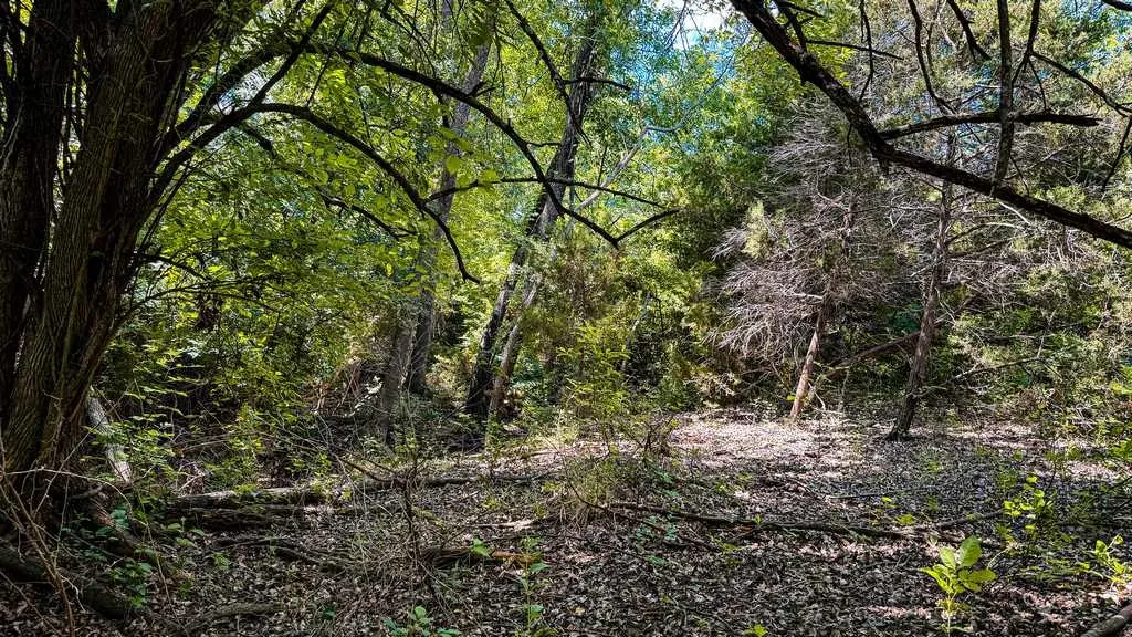 Ranch For Sale in Coryell County , 2455 FM 116, Gatesville, Texas 76528, 0, 0, Garage spaces, 0 Sqft, built in 0, mls#21295515, Real Estate Agent in Gatesville, Homes For Sale in Coryell county, Homes For Sale in Gatesville, Realtor in Gatesville Texas, Real Estate Brokerage Independent Realty Texas, Luminita Cordes Realtor