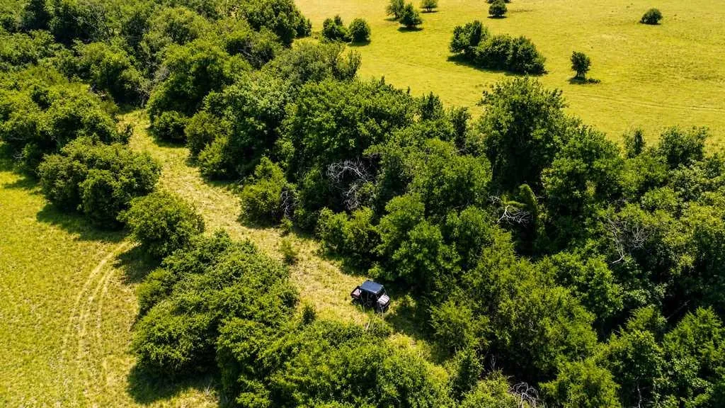 Ranch For Sale in Coryell County , 2455 FM 116, Gatesville, Texas 76528, 0, 0, Garage spaces, 0 Sqft, built in 0, mls#21295515, Real Estate Agent in Gatesville, Homes For Sale in Coryell county, Homes For Sale in Gatesville, Realtor in Gatesville Texas, Real Estate Brokerage Independent Realty Texas, Luminita Cordes Realtor