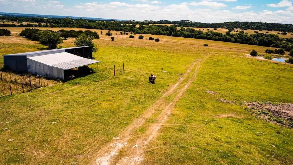 Ranch For Sale in Coryell County , 2455 FM 116, Gatesville, Texas 76528, 0, 0, Garage spaces, 0 Sqft, built in 0, mls#21295515, Real Estate Agent in Gatesville, Homes For Sale in Coryell county, Homes For Sale in Gatesville, Realtor in Gatesville Texas, Real Estate Brokerage Independent Realty Texas, Luminita Cordes Realtor