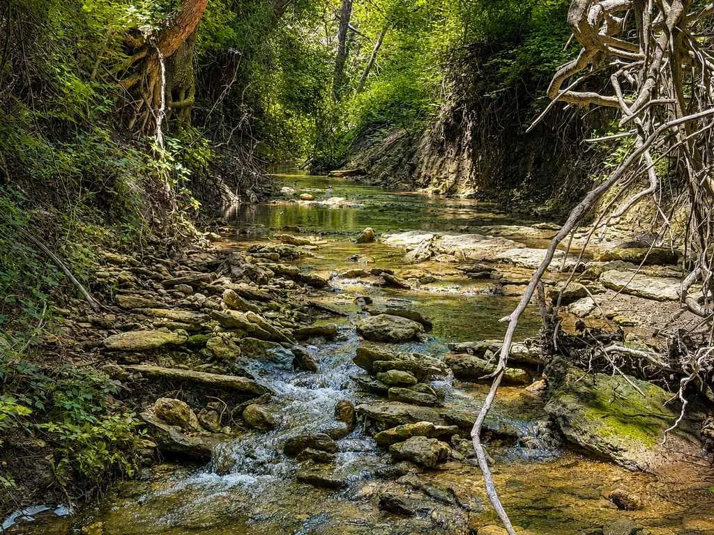 Ranch For Sale in Coryell County , 2455 FM 116, Gatesville, Texas 76528, 0, 0, Garage spaces, 0 Sqft, built in 0, mls#21295515, Real Estate Agent in Gatesville, Homes For Sale in Coryell county, Homes For Sale in Gatesville, Realtor in Gatesville Texas, Real Estate Brokerage Independent Realty Texas, Luminita Cordes Realtor