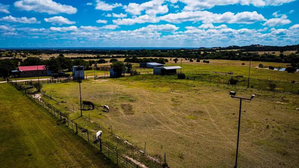 Ranch For Sale in Coryell County , 2455 FM 116, Gatesville, Texas 76528, 0, 0, Garage spaces, 0 Sqft, built in 0, mls#21295515, Real Estate Agent in Gatesville, Homes For Sale in Coryell county, Homes For Sale in Gatesville, Realtor in Gatesville Texas, Real Estate Brokerage Independent Realty Texas, Luminita Cordes Realtor