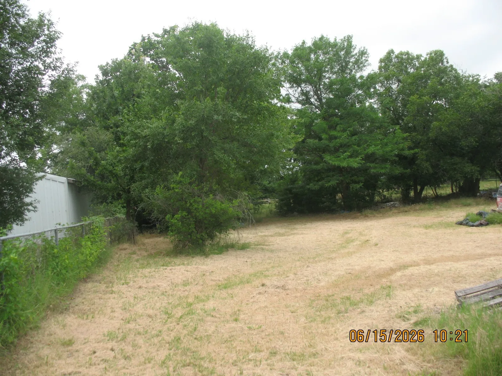 Back yard