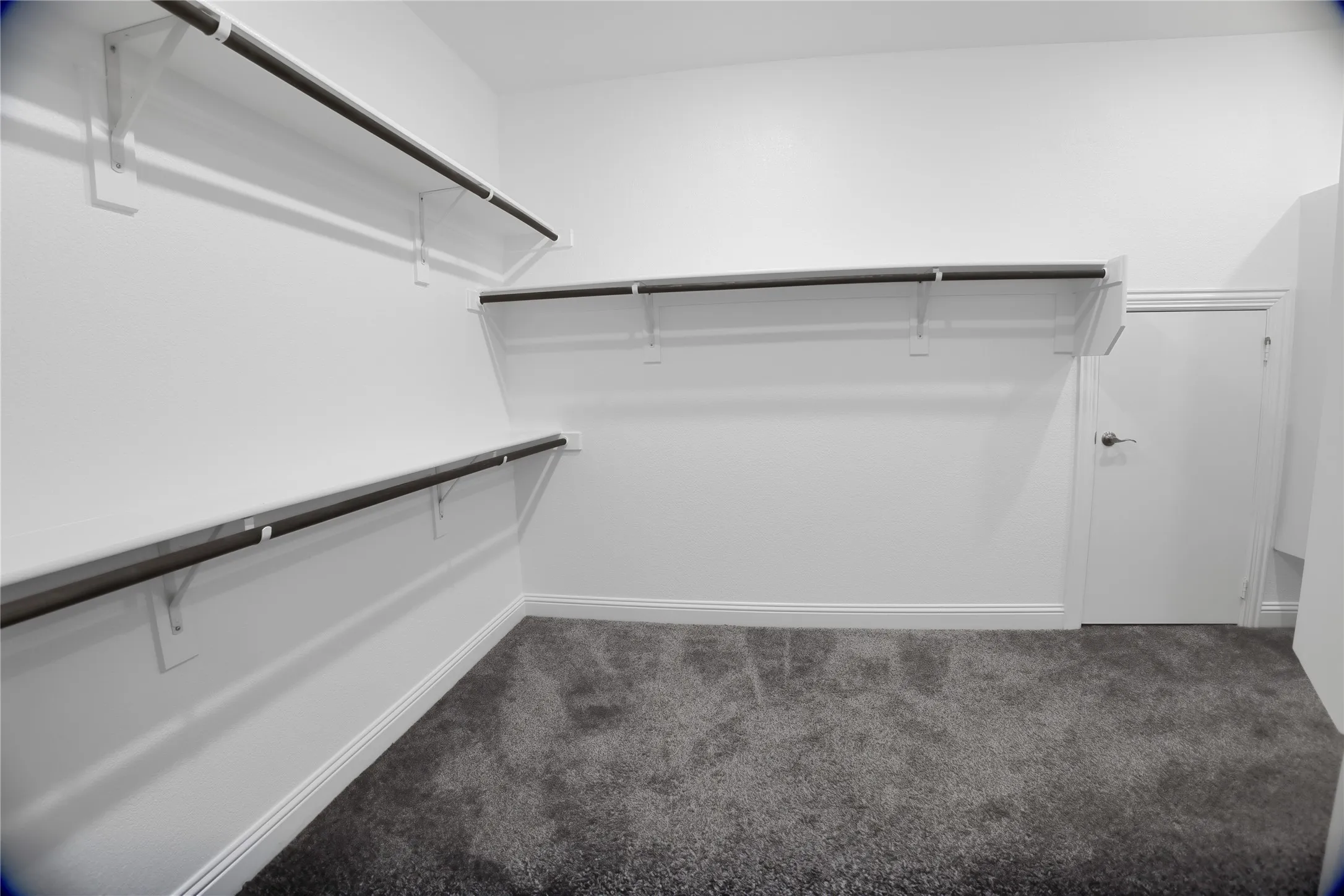 Spacious walk-in closet featuring plush gray carpeting, white walls, and built-in shelving and hanging rods