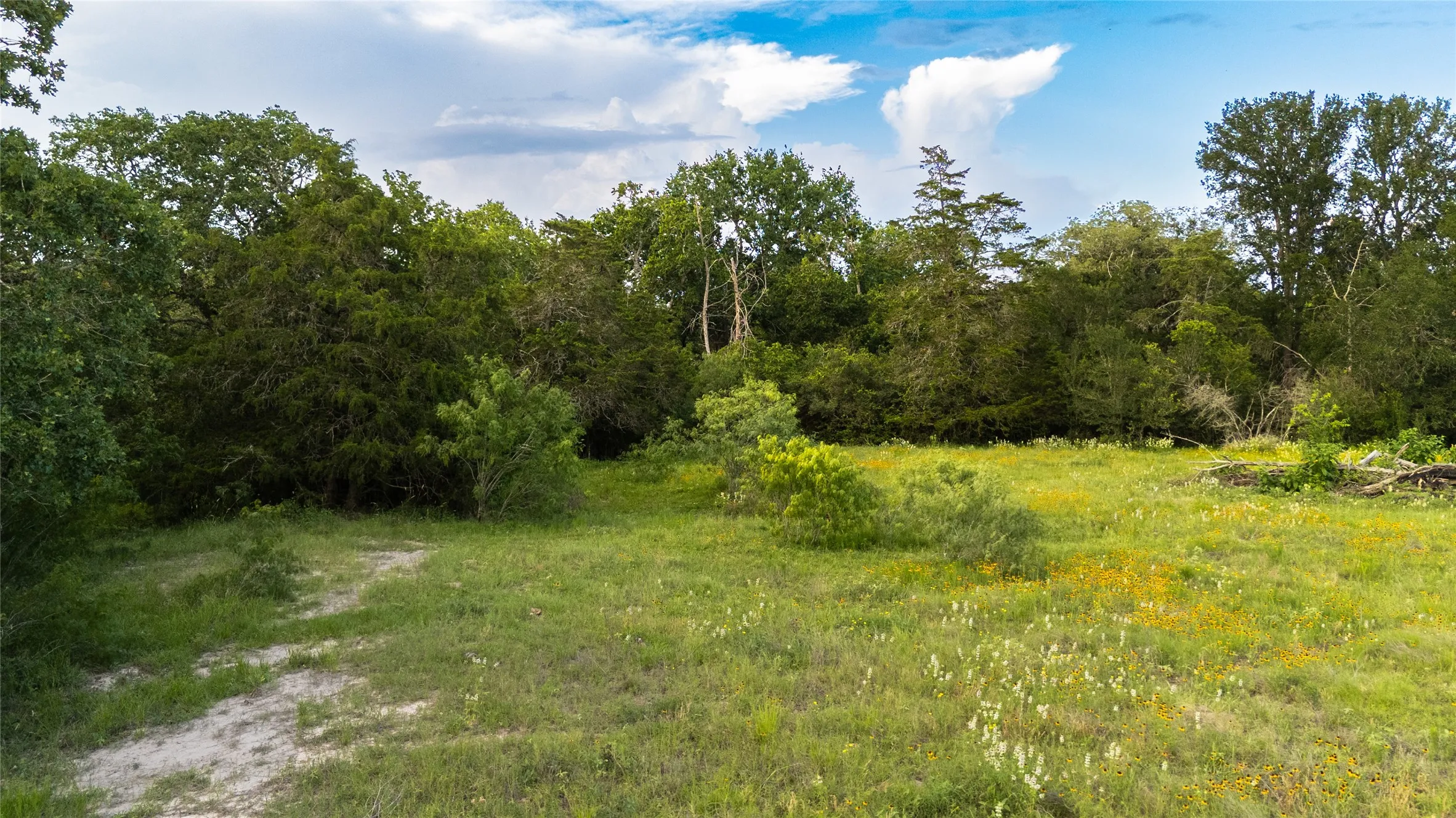 Ranch For Sale in Bastrop County , 1395 S Highway 95, Smithville, Texas 78957, 0, 0, Garage spaces, 0 Sqft, built in 2024, Price $495,000, mls#21290924, Real Estate Agent in Smithville, Homes For Sale in Bastrop county, Homes For Sale in Smithville, Realtor in Smithville Texas, Real Estate Brokerage Independent Realty Texas, Luminita Cordes Realtor