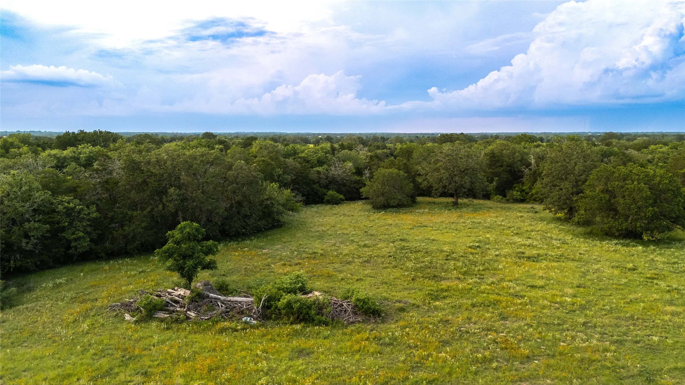 Ranch For Sale in Bastrop County , 1395 S Highway 95, Smithville, Texas 78957, 0, 0, Garage spaces, 0 Sqft, built in 2024, Price $495,000, mls#21290924, Real Estate Agent in Smithville, Homes For Sale in Bastrop county, Homes For Sale in Smithville, Realtor in Smithville Texas, Real Estate Brokerage Independent Realty Texas, Luminita Cordes Realtor