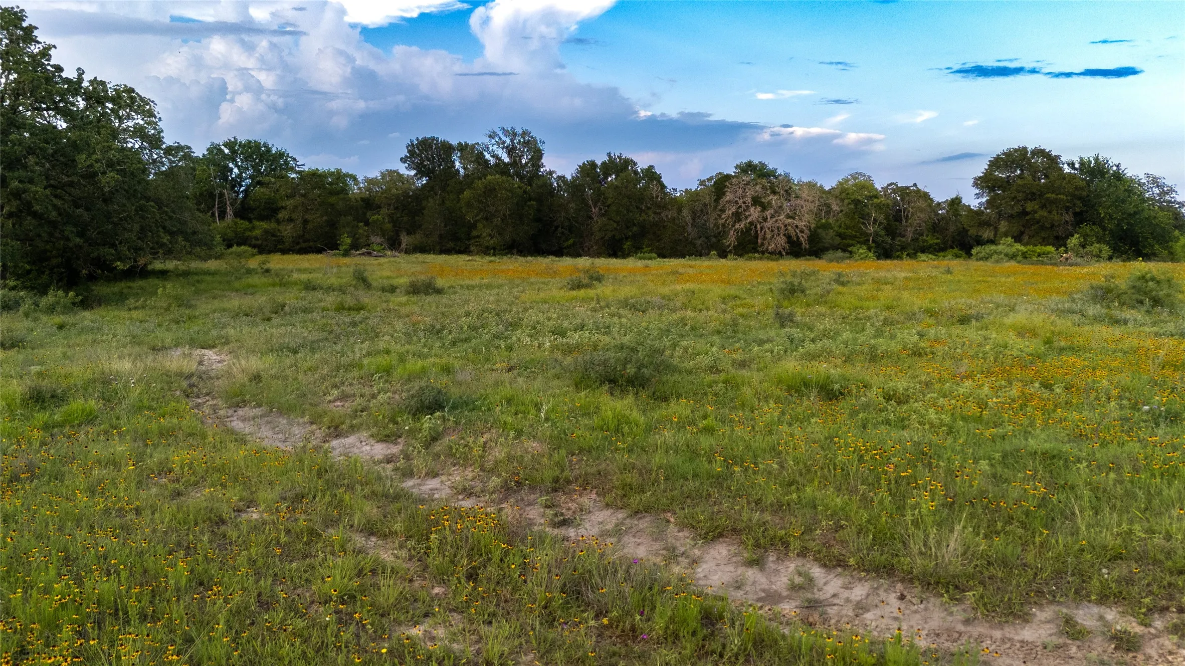 Ranch For Sale in Bastrop County , 1395 S Highway 95, Smithville, Texas 78957, 0, 0, Garage spaces, 0 Sqft, built in 2024, Price $495,000, mls#21290924, Real Estate Agent in Smithville, Homes For Sale in Bastrop county, Homes For Sale in Smithville, Realtor in Smithville Texas, Real Estate Brokerage Independent Realty Texas, Luminita Cordes Realtor
