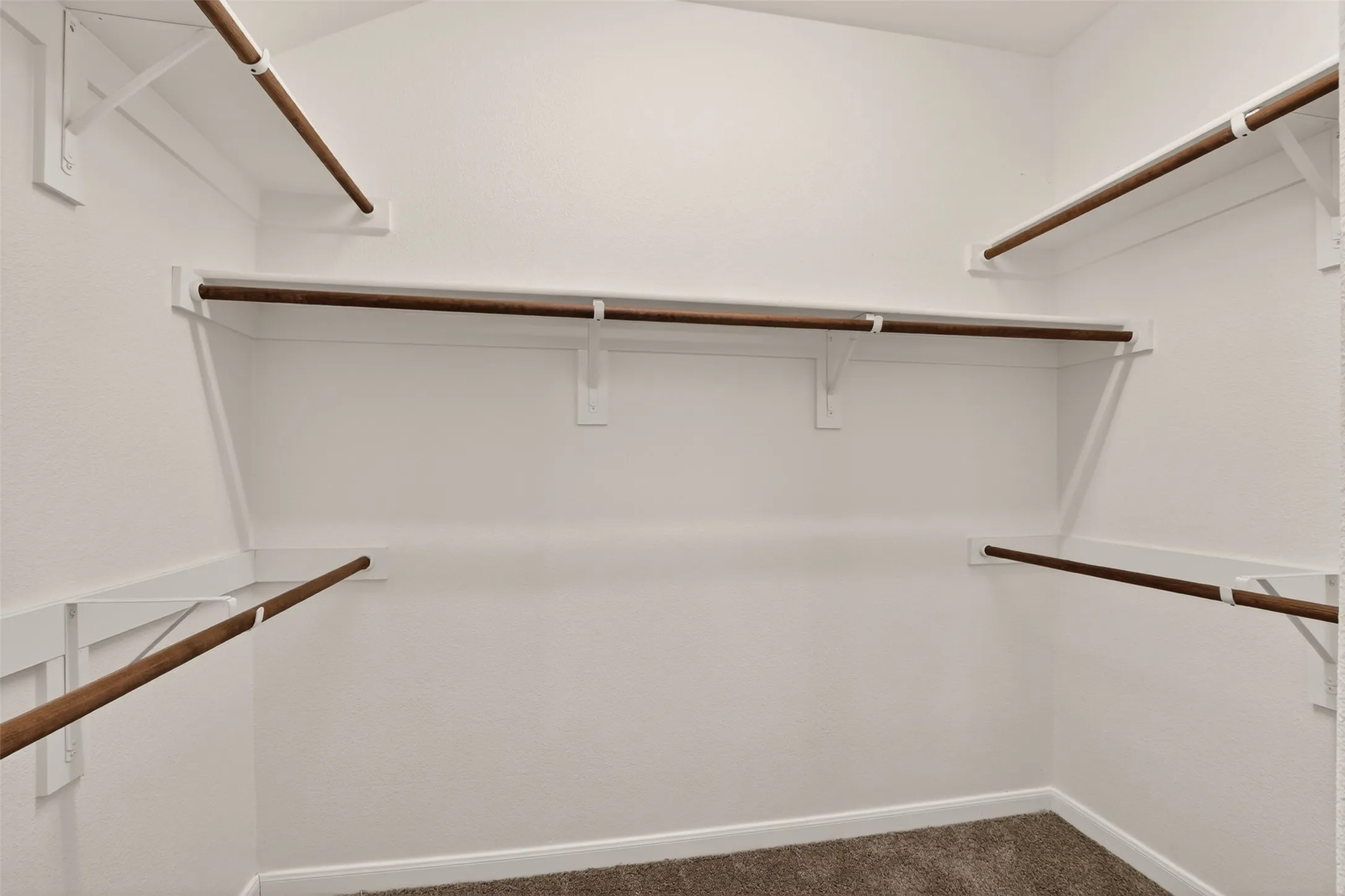 Walk-in closet featuring white painted walls, wood-finish closet rods, and carpet flooring