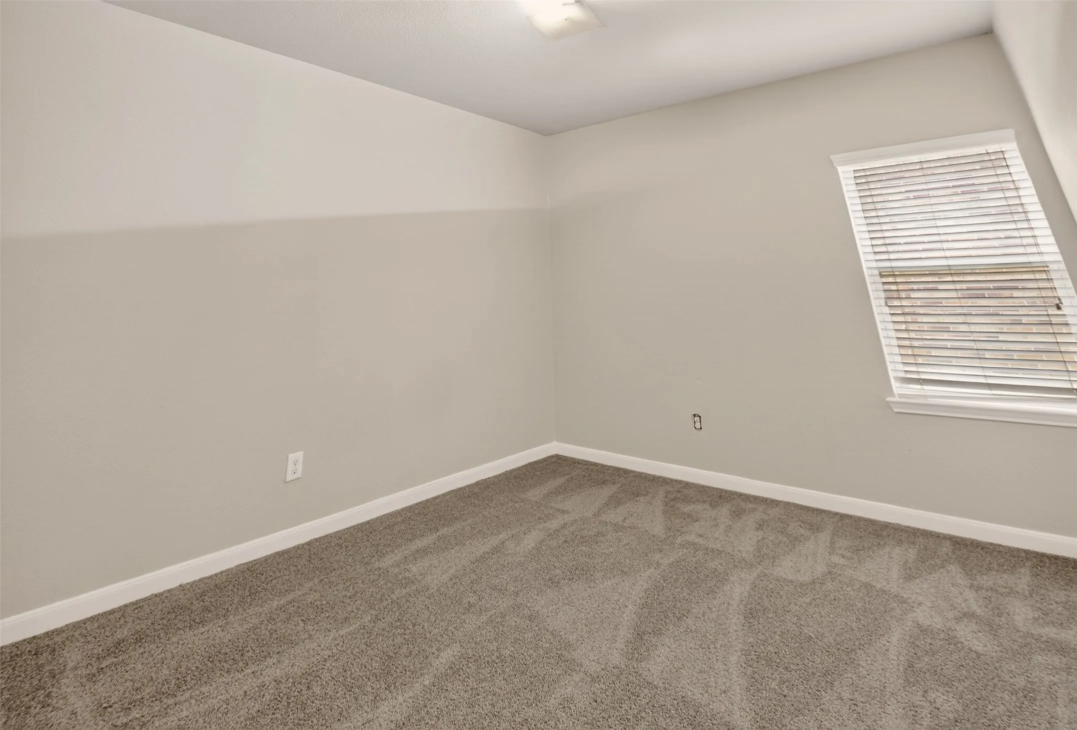Room featuring light grey carpeting, white baseboards, and neutral wall paint