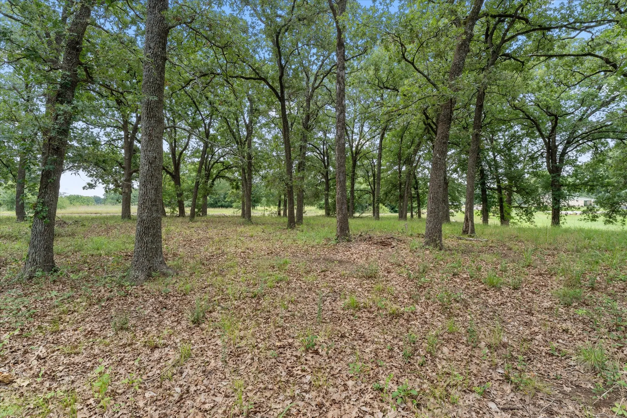 Unimproved Land For Sale in Freestone County , 78 & 79 Tall Oaks Drive, Streetman, Texas 75859, 0, 0, Garage spaces, 0 Sqft, built in 0, Price $259,900, mls#21295855, Real Estate Agent in Streetman, Homes For Sale in Freestone county, Homes For Sale in Streetman, Realtor in Streetman Texas, Real Estate Brokerage Independent Realty Texas, Luminita Cordes Realtor