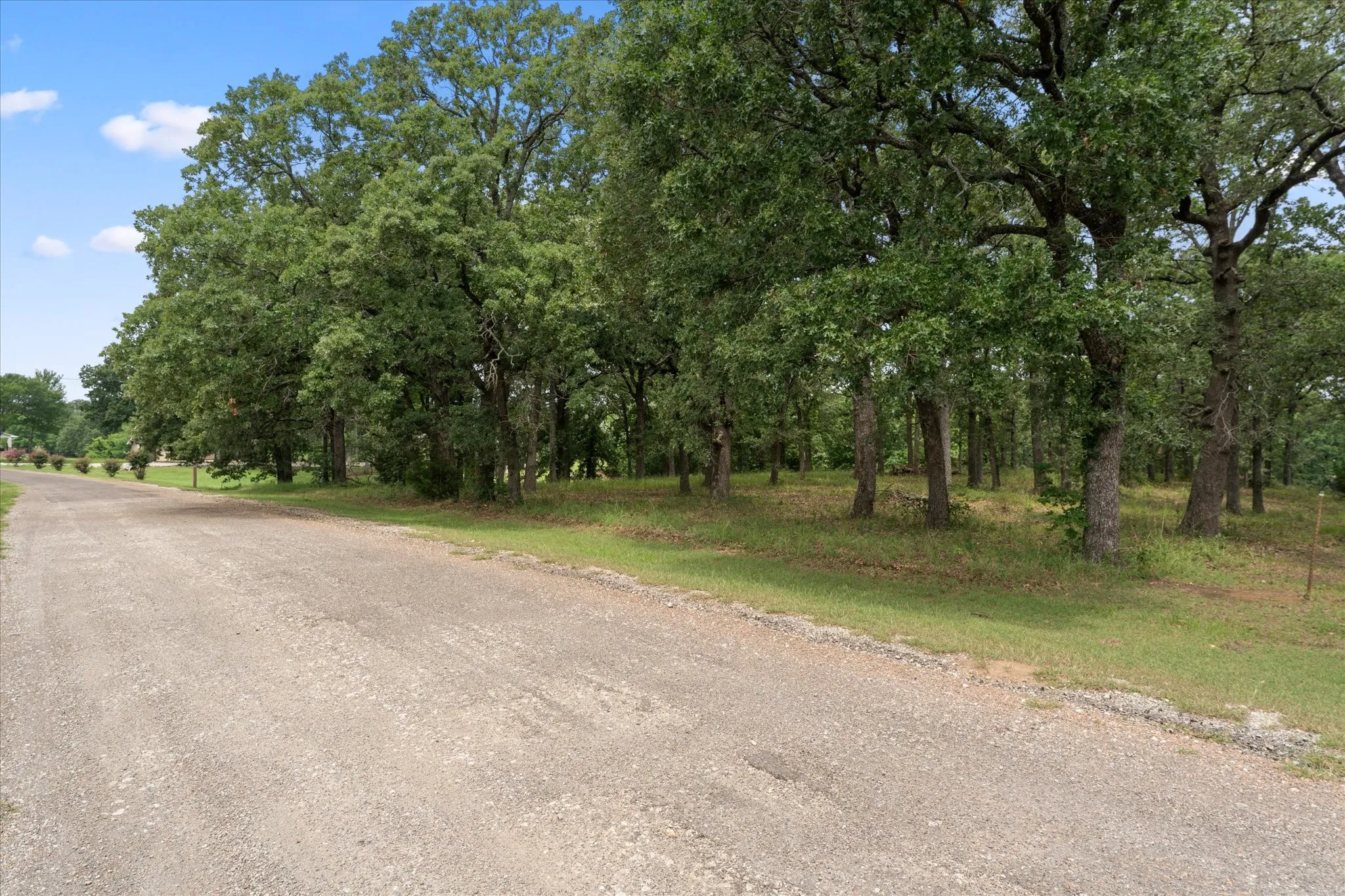 Unimproved Land For Sale in Freestone County , 78 & 79 Tall Oaks Drive, Streetman, Texas 75859, 0, 0, Garage spaces, 0 Sqft, built in 0, Price $259,900, mls#21295855, Real Estate Agent in Streetman, Homes For Sale in Freestone county, Homes For Sale in Streetman, Realtor in Streetman Texas, Real Estate Brokerage Independent Realty Texas, Luminita Cordes Realtor