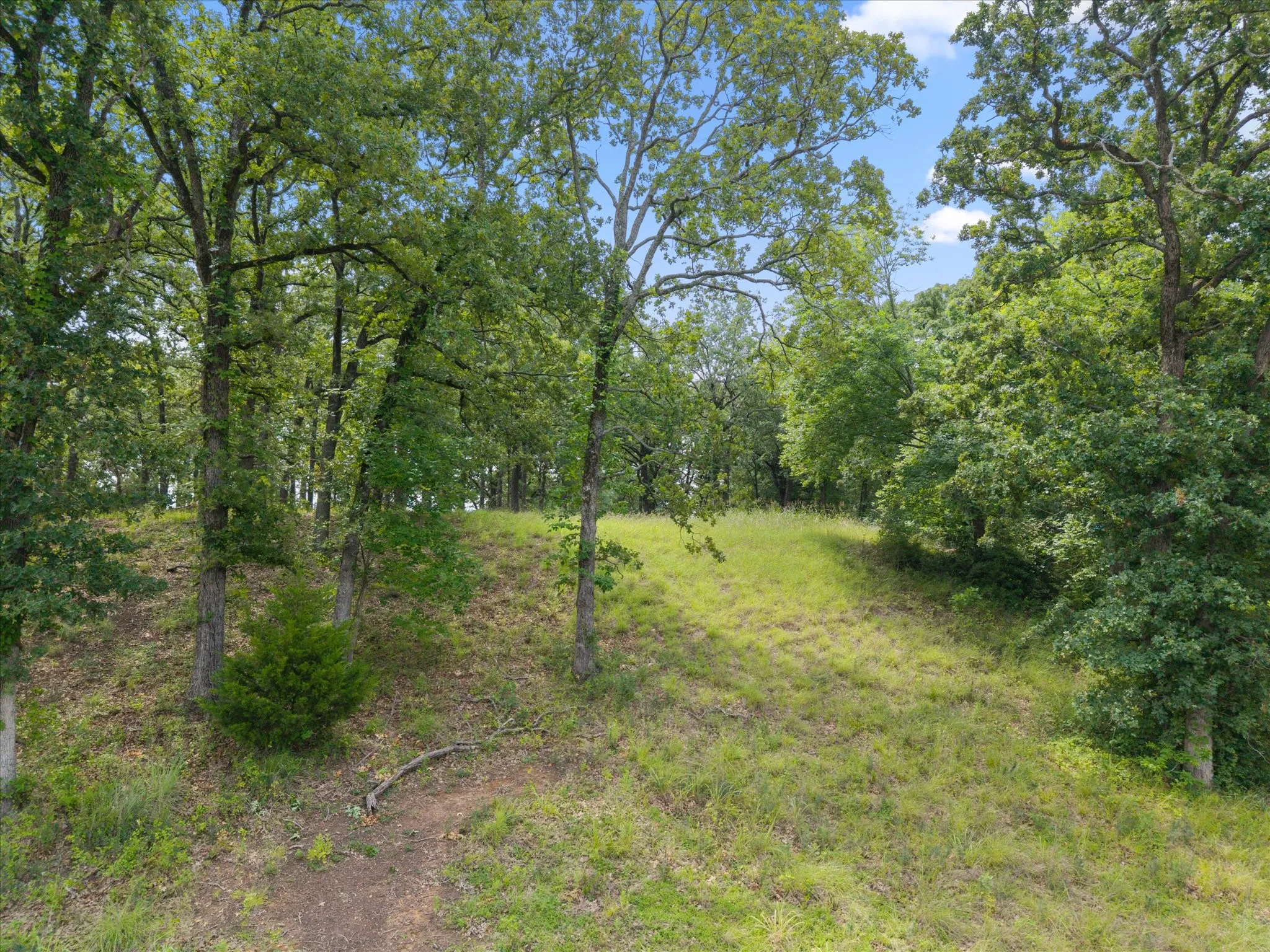 Unimproved Land For Sale in Freestone County , 78 & 79 Tall Oaks Drive, Streetman, Texas 75859, 0, 0, Garage spaces, 0 Sqft, built in 0, Price $259,900, mls#21295855, Real Estate Agent in Streetman, Homes For Sale in Freestone county, Homes For Sale in Streetman, Realtor in Streetman Texas, Real Estate Brokerage Independent Realty Texas, Luminita Cordes Realtor