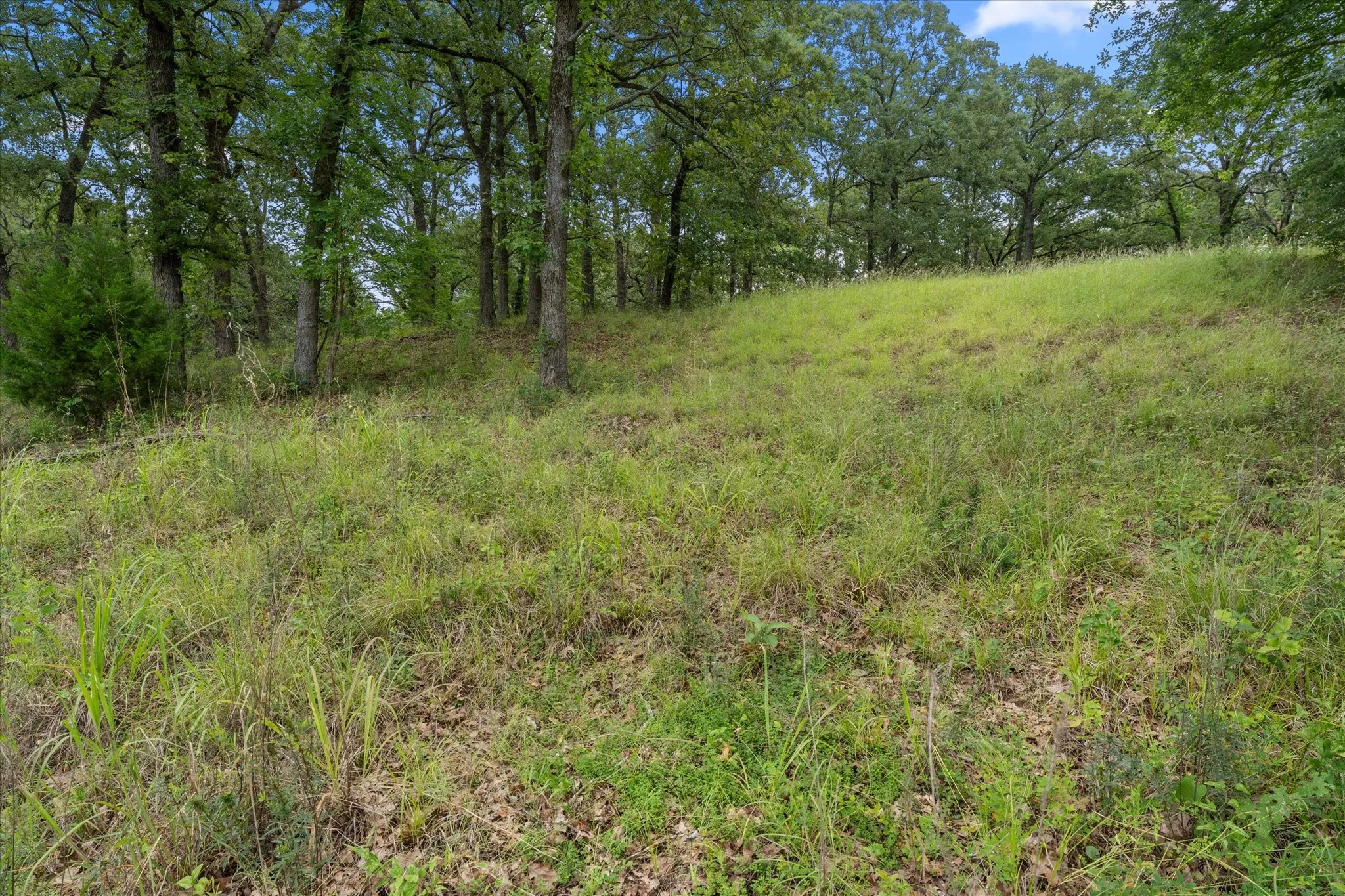 Unimproved Land For Sale in Freestone County , 78 & 79 Tall Oaks Drive, Streetman, Texas 75859, 0, 0, Garage spaces, 0 Sqft, built in 0, Price $259,900, mls#21295855, Real Estate Agent in Streetman, Homes For Sale in Freestone county, Homes For Sale in Streetman, Realtor in Streetman Texas, Real Estate Brokerage Independent Realty Texas, Luminita Cordes Realtor