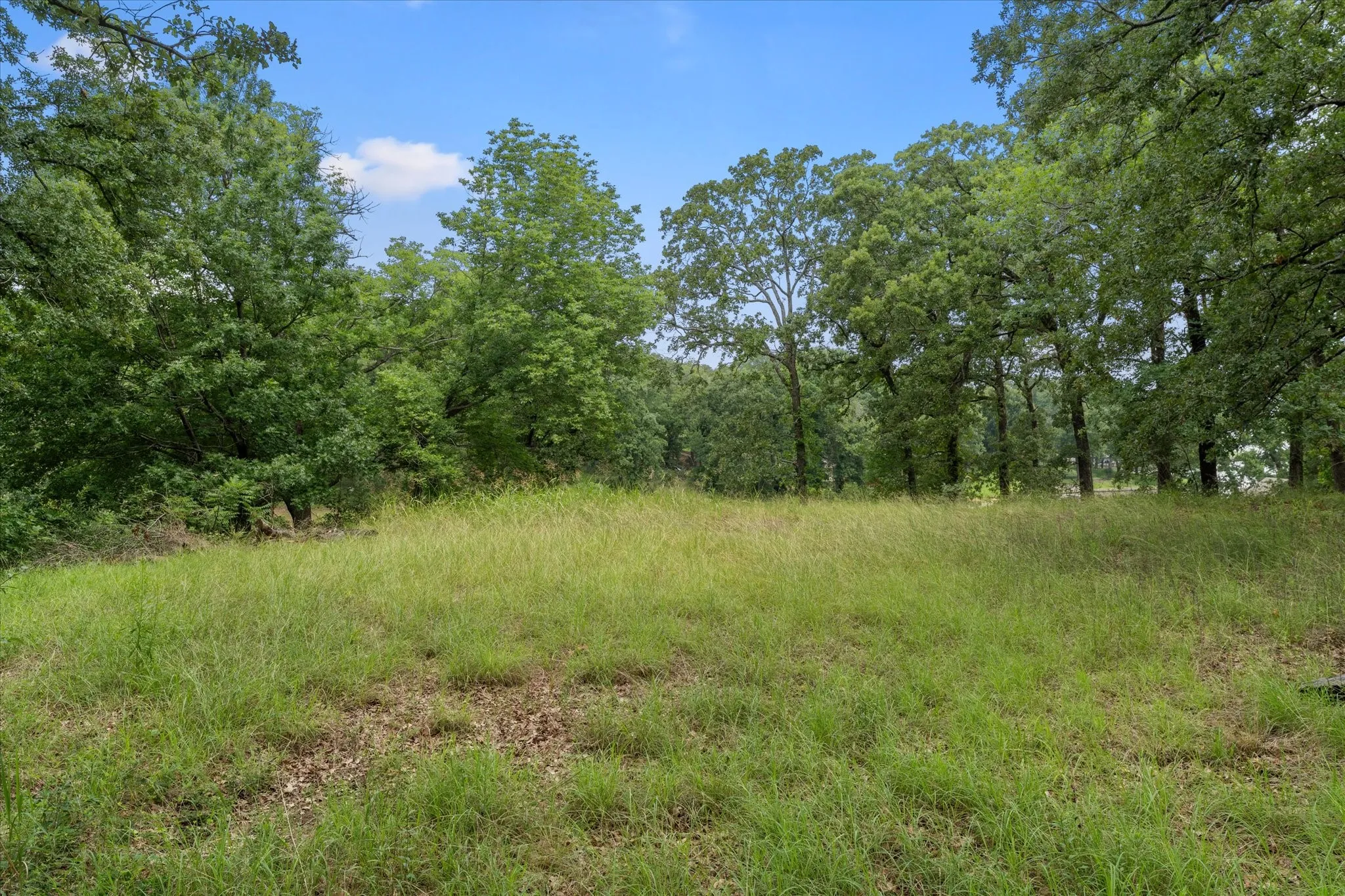 Unimproved Land For Sale in Freestone County , 78 & 79 Tall Oaks Drive, Streetman, Texas 75859, 0, 0, Garage spaces, 0 Sqft, built in 0, Price $259,900, mls#21295855, Real Estate Agent in Streetman, Homes For Sale in Freestone county, Homes For Sale in Streetman, Realtor in Streetman Texas, Real Estate Brokerage Independent Realty Texas, Luminita Cordes Realtor