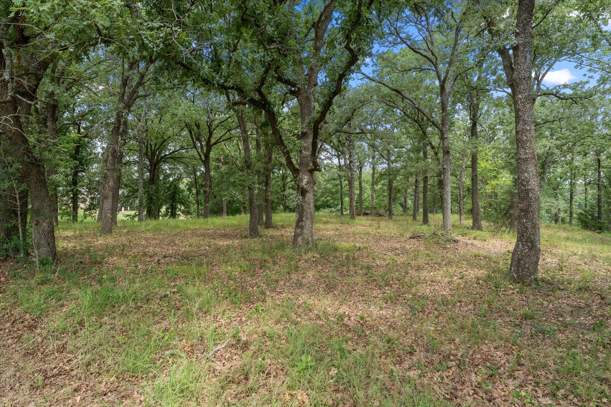 Unimproved Land For Sale in Freestone County , 78 & 79 Tall Oaks Drive, Streetman, Texas 75859, 0, 0, Garage spaces, 0 Sqft, built in 0, Price $259,900, mls#21295855, Real Estate Agent in Streetman, Homes For Sale in Freestone county, Homes For Sale in Streetman, Realtor in Streetman Texas, Real Estate Brokerage Independent Realty Texas, Luminita Cordes Realtor