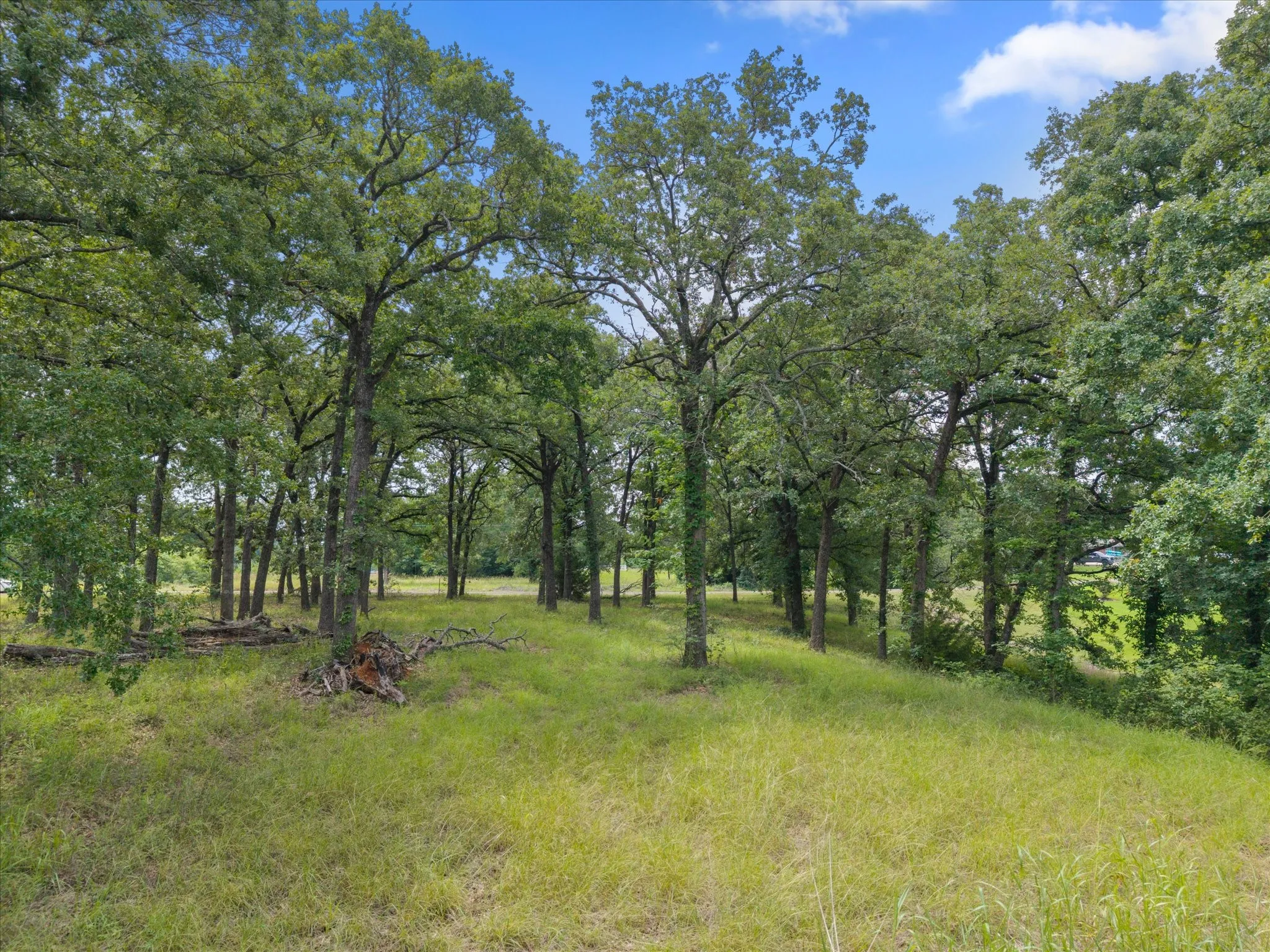 Unimproved Land For Sale in Freestone County , 78 & 79 Tall Oaks Drive, Streetman, Texas 75859, 0, 0, Garage spaces, 0 Sqft, built in 0, Price $259,900, mls#21295855, Real Estate Agent in Streetman, Homes For Sale in Freestone county, Homes For Sale in Streetman, Realtor in Streetman Texas, Real Estate Brokerage Independent Realty Texas, Luminita Cordes Realtor