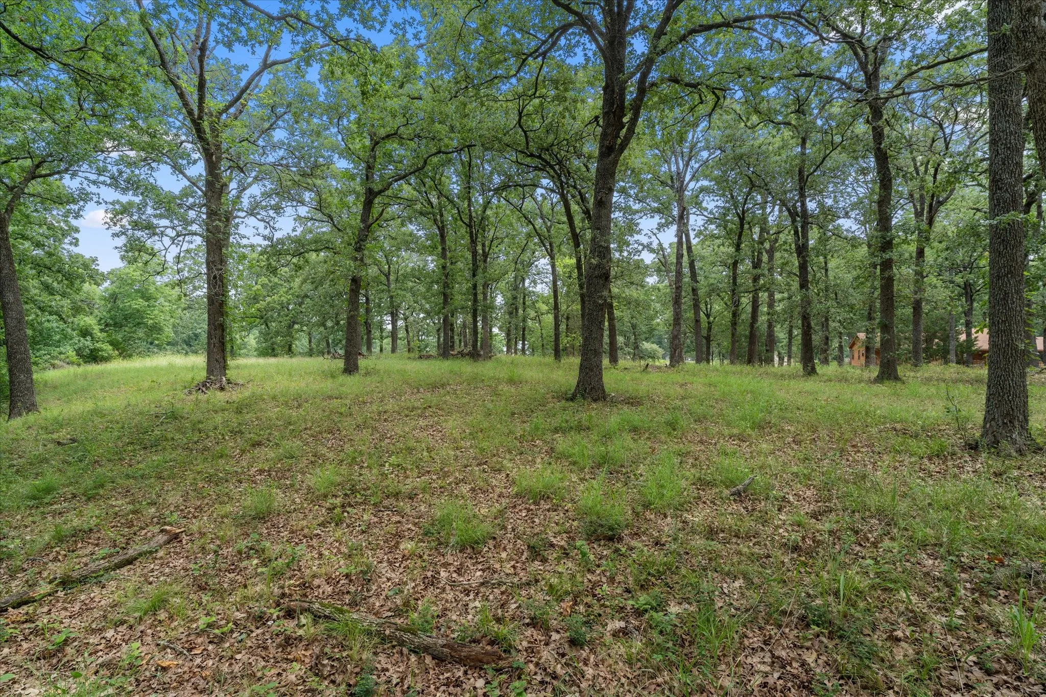 Unimproved Land For Sale in Freestone County , 78 & 79 Tall Oaks Drive, Streetman, Texas 75859, 0, 0, Garage spaces, 0 Sqft, built in 0, Price $259,900, mls#21295855, Real Estate Agent in Streetman, Homes For Sale in Freestone county, Homes For Sale in Streetman, Realtor in Streetman Texas, Real Estate Brokerage Independent Realty Texas, Luminita Cordes Realtor