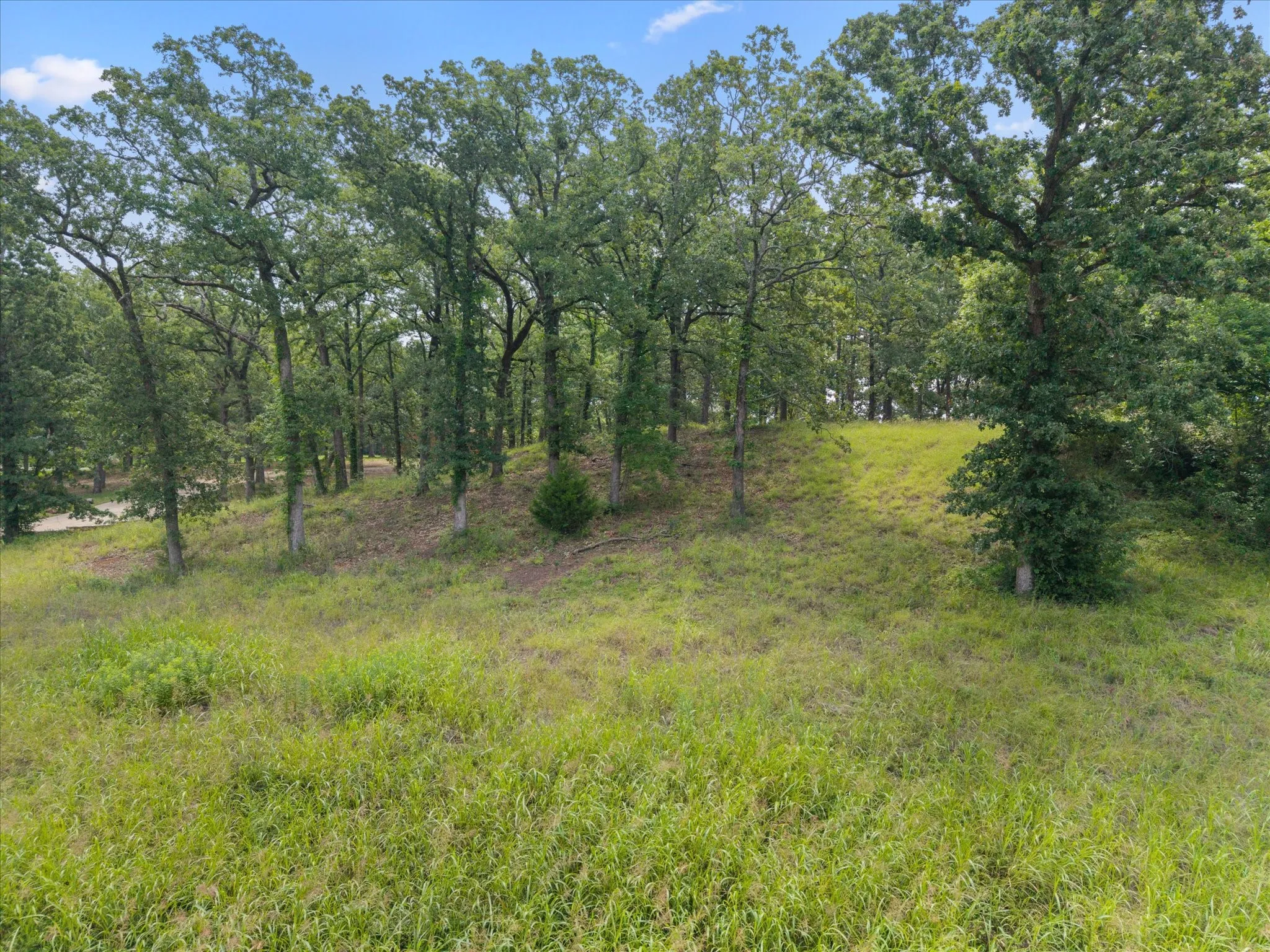 Unimproved Land For Sale in Freestone County , 78 & 79 Tall Oaks Drive, Streetman, Texas 75859, 0, 0, Garage spaces, 0 Sqft, built in 0, Price $259,900, mls#21295855, Real Estate Agent in Streetman, Homes For Sale in Freestone county, Homes For Sale in Streetman, Realtor in Streetman Texas, Real Estate Brokerage Independent Realty Texas, Luminita Cordes Realtor