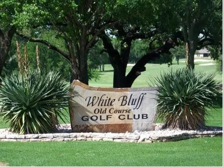 Unimproved Land For Sale in Hill County , 42024 Preston Trail, Whitney, Texas 76692, 0, 0, Garage spaces, 0 Sqft, built in 0, Price $25,000, mls#21295215, Real Estate Agent in Whitney, Homes For Sale in Hill county, Homes For Sale in Whitney, Realtor in Whitney Texas, Real Estate Brokerage Independent Realty Texas, Luminita Cordes Realtor