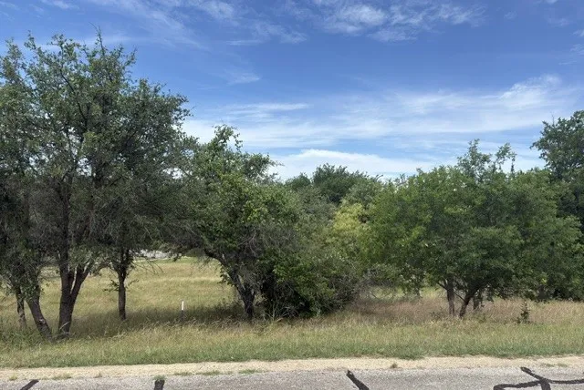 Unimproved Land For Sale in Hill County , 42024 Preston Trail, Whitney, Texas 76692, 0, 0, Garage spaces, 0 Sqft, built in 0, Price $25,000, mls#21295215, Real Estate Agent in Whitney, Homes For Sale in Hill county, Homes For Sale in Whitney, Realtor in Whitney Texas, Real Estate Brokerage Independent Realty Texas, Luminita Cordes Realtor