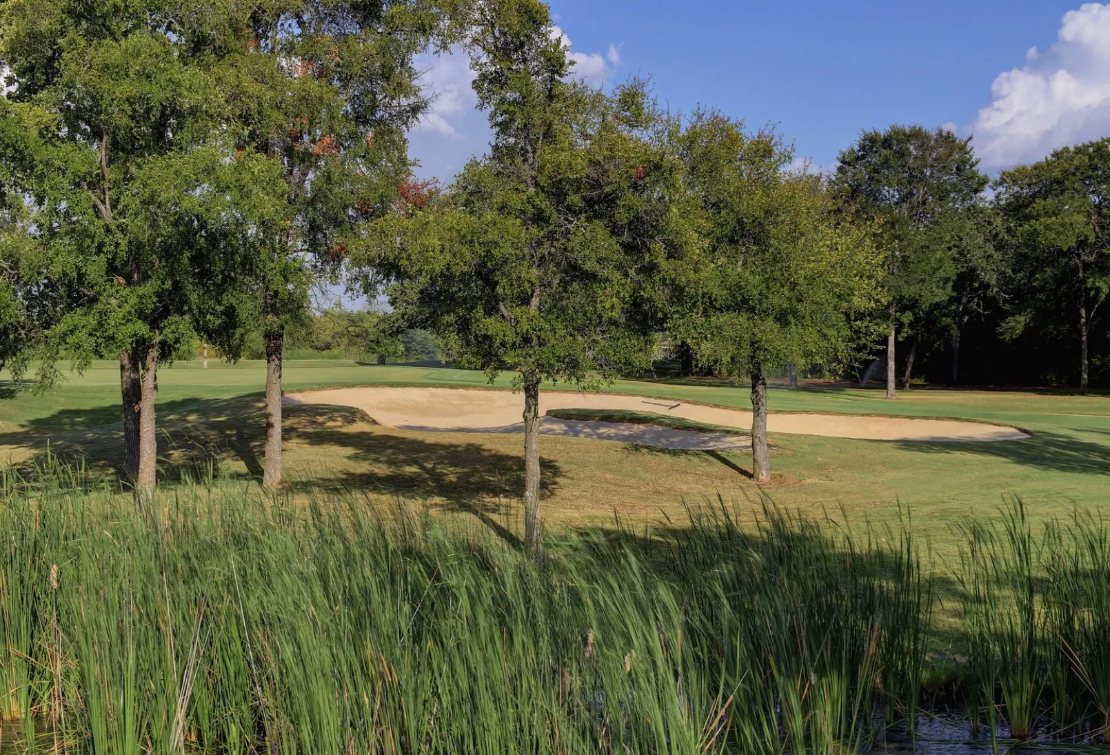 Unimproved Land For Sale in Hill County , 42024 Preston Trail, Whitney, Texas 76692, 0, 0, Garage spaces, 0 Sqft, built in 0, Price $25,000, mls#21295215, Real Estate Agent in Whitney, Homes For Sale in Hill county, Homes For Sale in Whitney, Realtor in Whitney Texas, Real Estate Brokerage Independent Realty Texas, Luminita Cordes Realtor