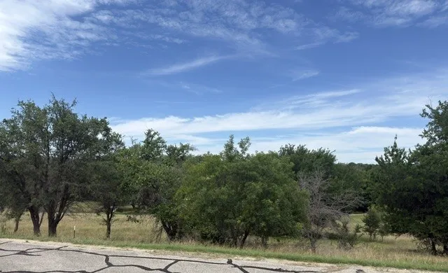 Unimproved Land For Sale in Hill County , 42024 Preston Trail, Whitney, Texas 76692, 0, 0, Garage spaces, 0 Sqft, built in 0, Price $25,000, mls#21295215, Real Estate Agent in Whitney, Homes For Sale in Hill county, Homes For Sale in Whitney, Realtor in Whitney Texas, Real Estate Brokerage Independent Realty Texas, Luminita Cordes Realtor