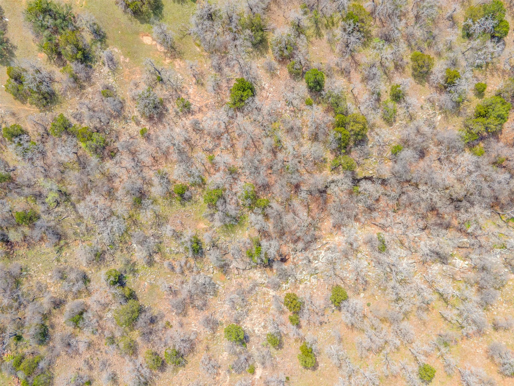 Unimproved Land For Sale in Palo Pinto County , E49R Arts Way, Gordon, Texas 76453, 0, 0, Garage spaces, 0 Sqft, built in 0, mls#21296028, Real Estate Agent in Gordon, Homes For Sale in Palo Pinto county, Homes For Sale in Gordon, Realtor in Gordon Texas, Real Estate Brokerage Independent Realty Texas, Luminita Cordes Realtor