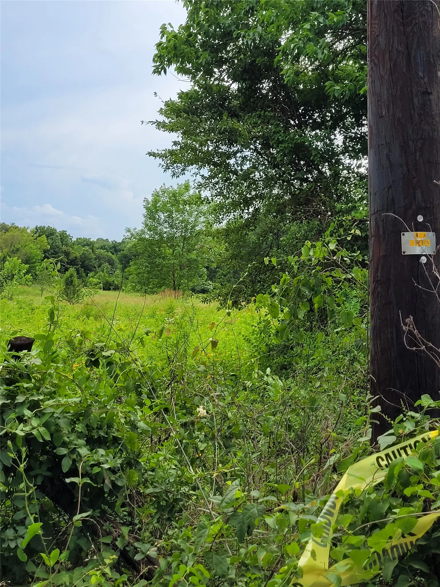 west boundary post view looking south.