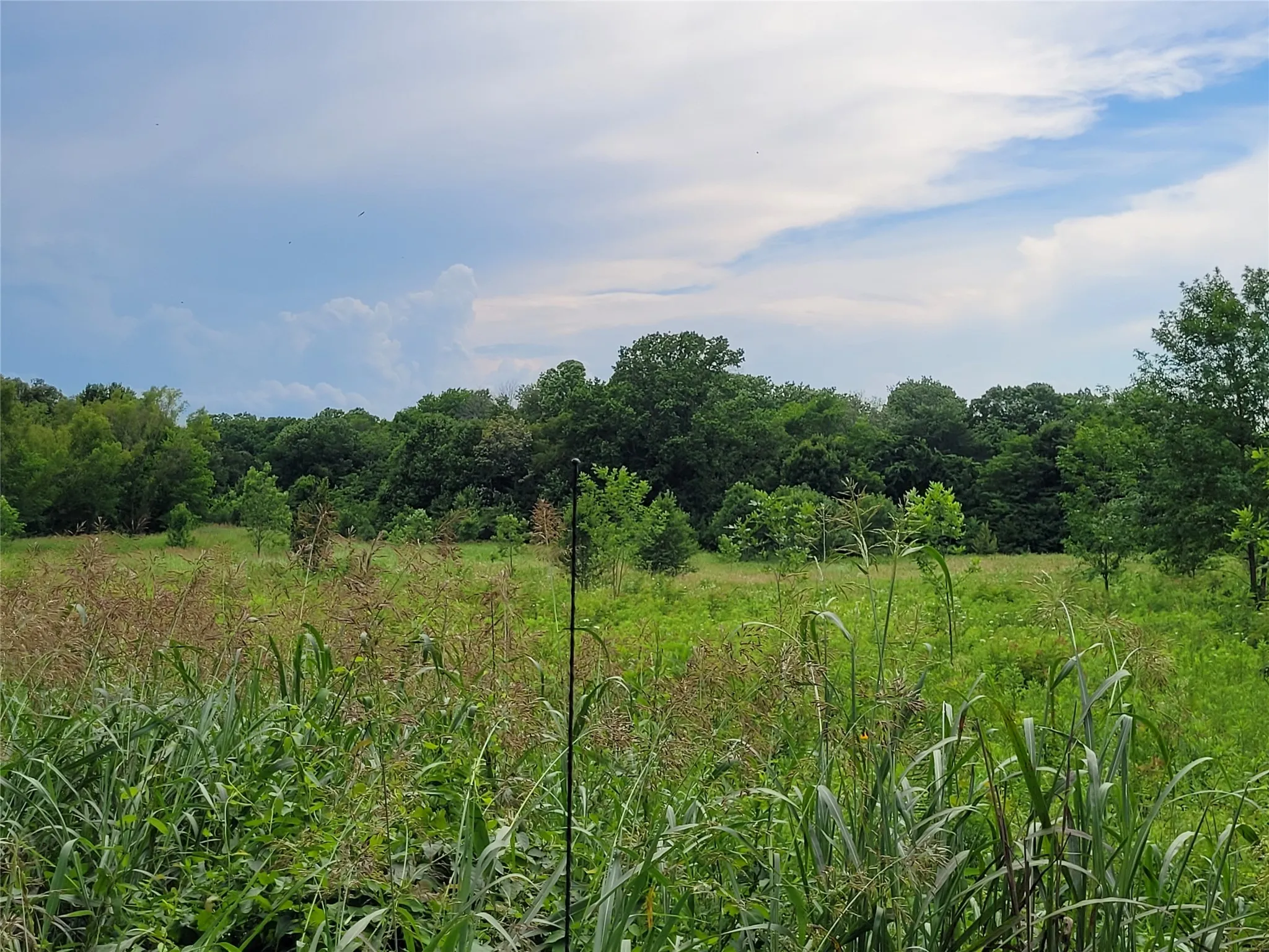 Unimproved Land For Sale in Red River (TX) County , 422 COUNTY ROAD 1345, Clarksville, Texas 75426, 0, 0, Garage spaces, 0 Sqft, built in 0, Price $99,000, mls#21294860, Real Estate Agent in Clarksville, Homes For Sale in Red River (TX) county, Homes For Sale in Clarksville, Realtor in Clarksville Texas, Real Estate Brokerage Independent Realty Texas, Luminita Cordes Realtor