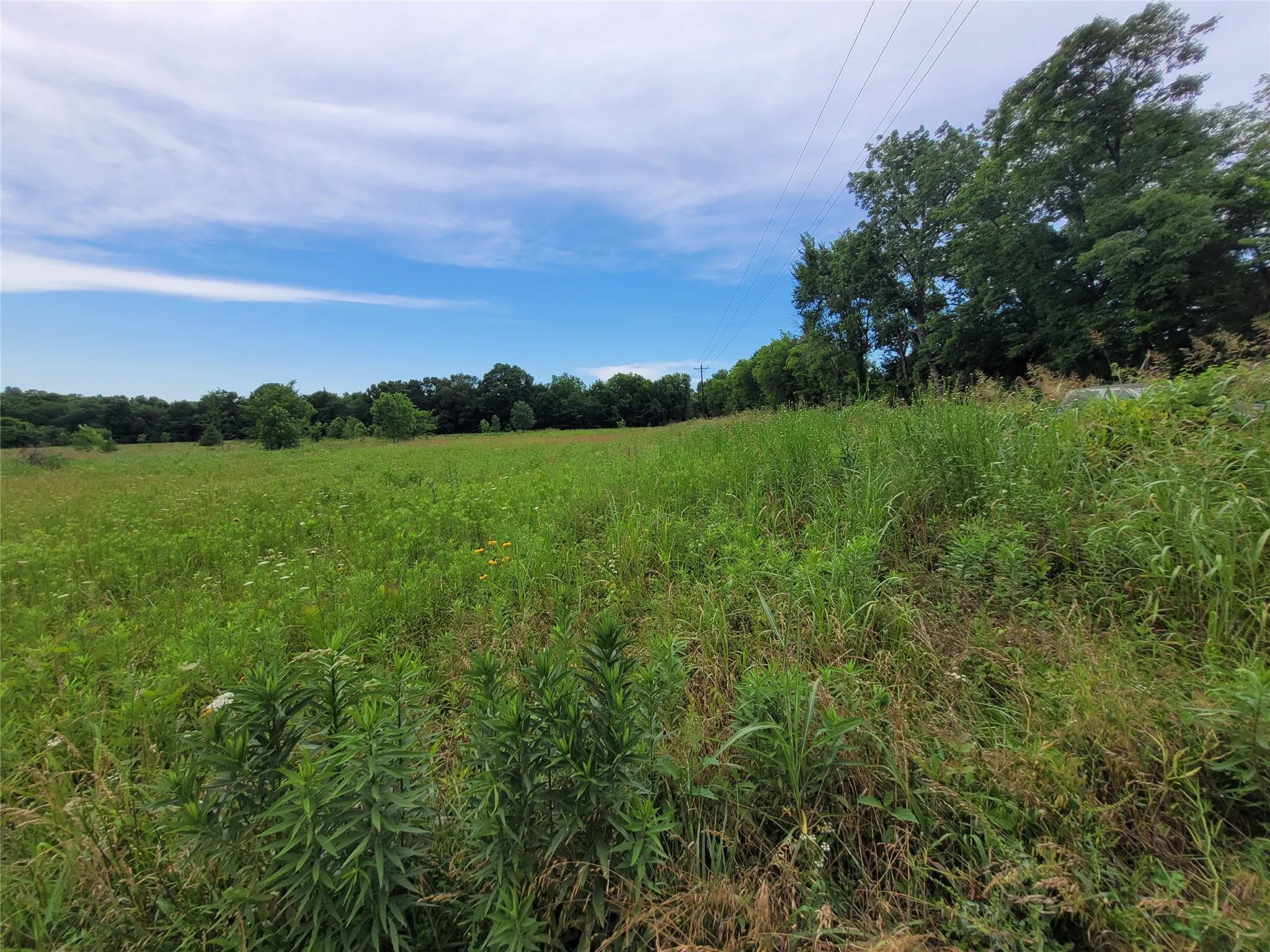 Unimproved Land For Sale in Red River (TX) County , 422 COUNTY ROAD 1345, Clarksville, Texas 75426, 0, 0, Garage spaces, 0 Sqft, built in 0, Price $99,000, mls#21294860, Real Estate Agent in Clarksville, Homes For Sale in Red River (TX) county, Homes For Sale in Clarksville, Realtor in Clarksville Texas, Real Estate Brokerage Independent Realty Texas, Luminita Cordes Realtor