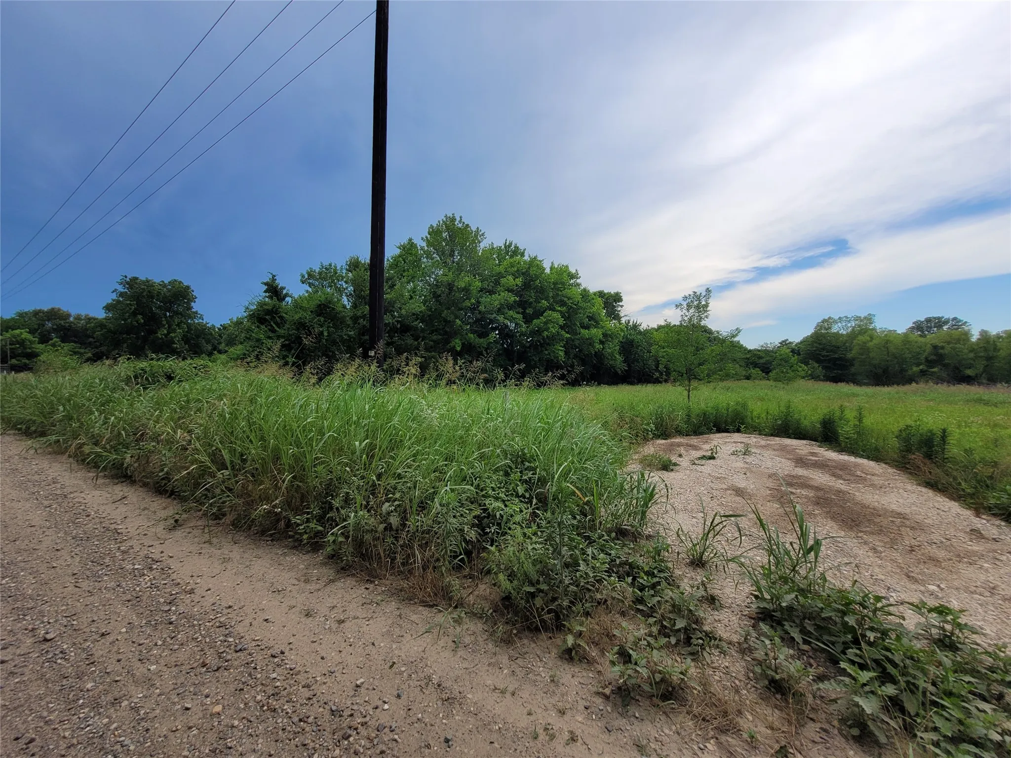 looking at east boundary tree line by road frontage
