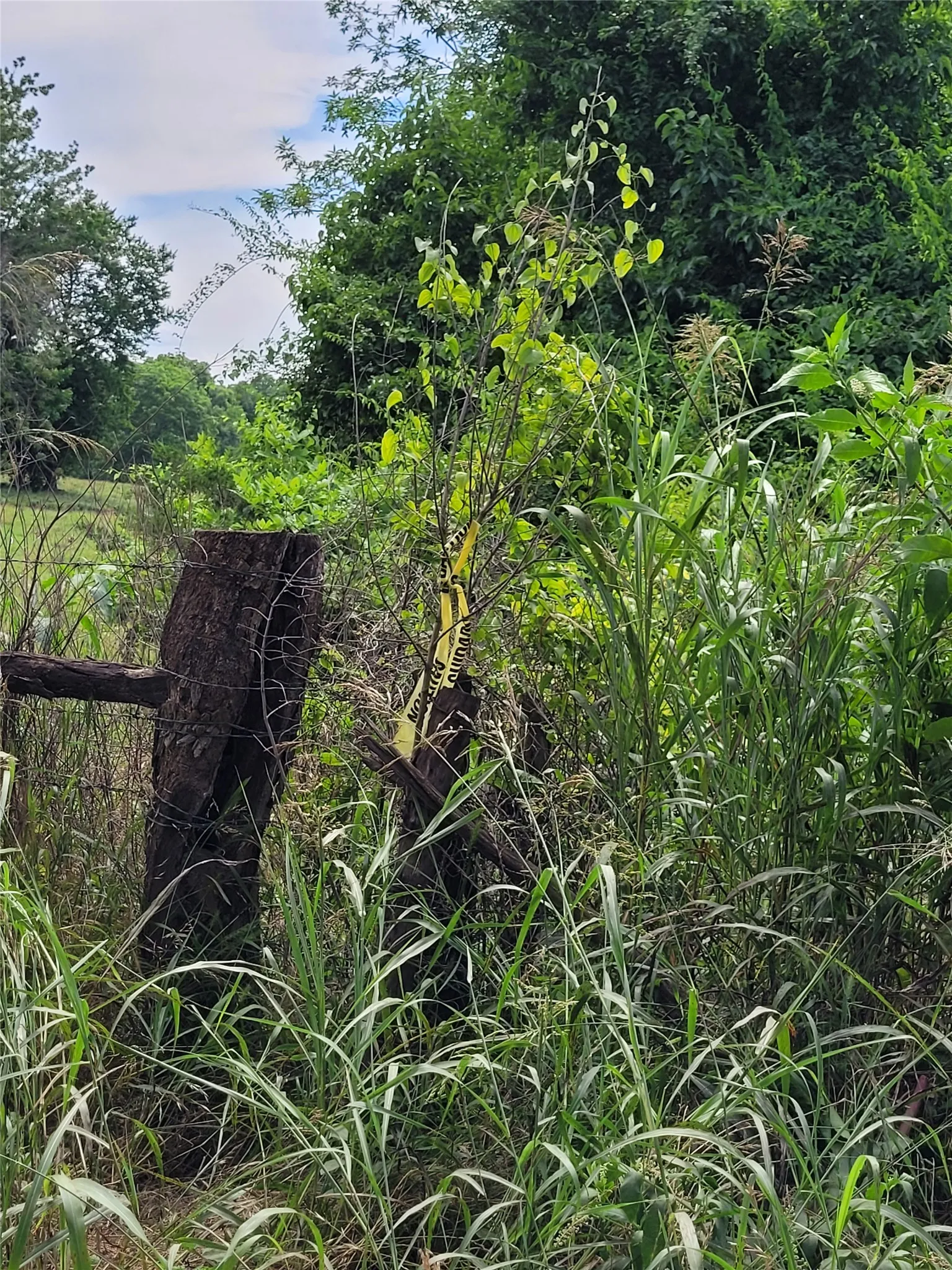 west boundary corner post of fence at roadway.