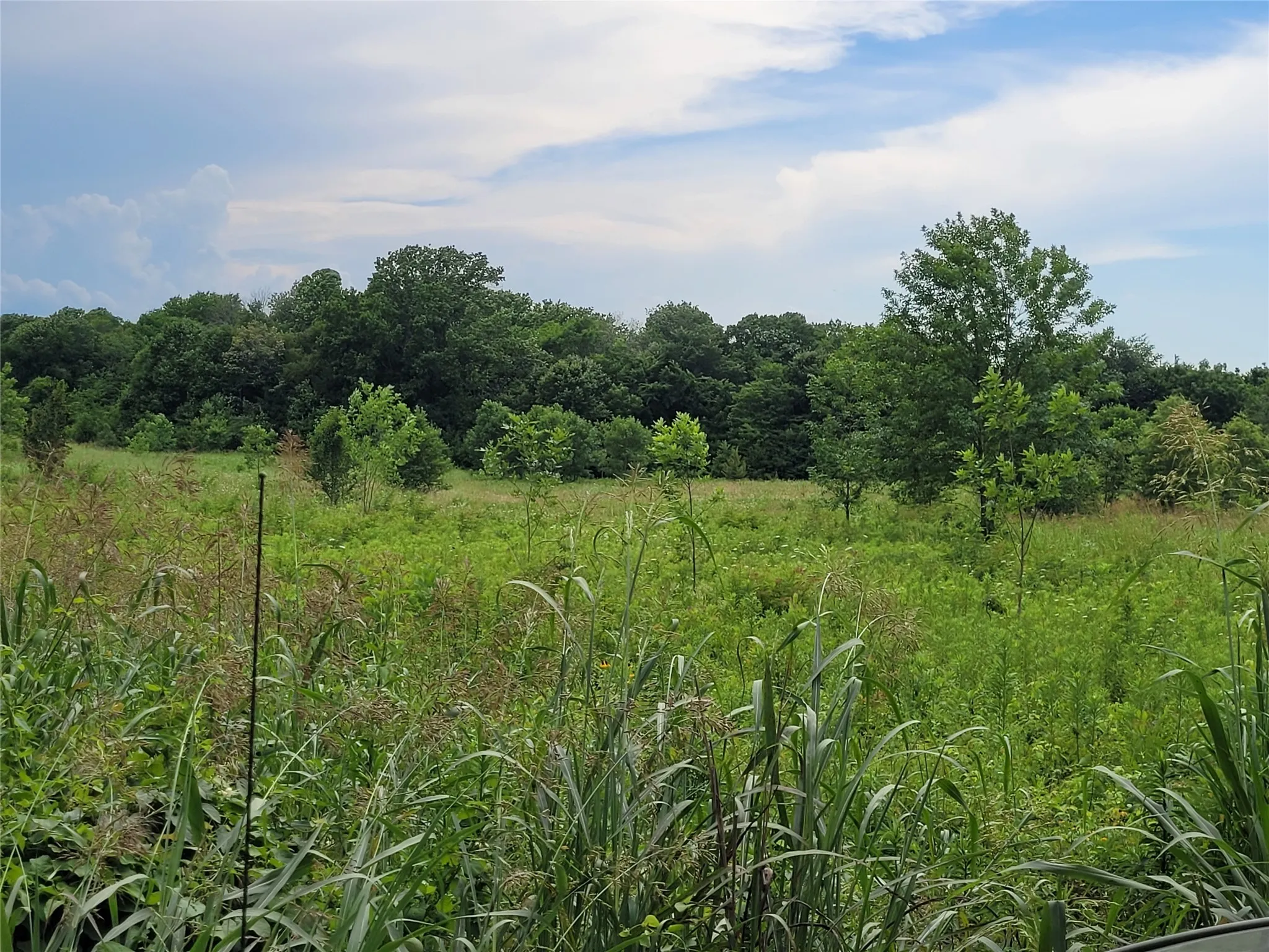 Unimproved Land For Sale in Red River (TX) County , 422 COUNTY ROAD 1345, Clarksville, Texas 75426, 0, 0, Garage spaces, 0 Sqft, built in 0, Price $99,000, mls#21294860, Real Estate Agent in Clarksville, Homes For Sale in Red River (TX) county, Homes For Sale in Clarksville, Realtor in Clarksville Texas, Real Estate Brokerage Independent Realty Texas, Luminita Cordes Realtor