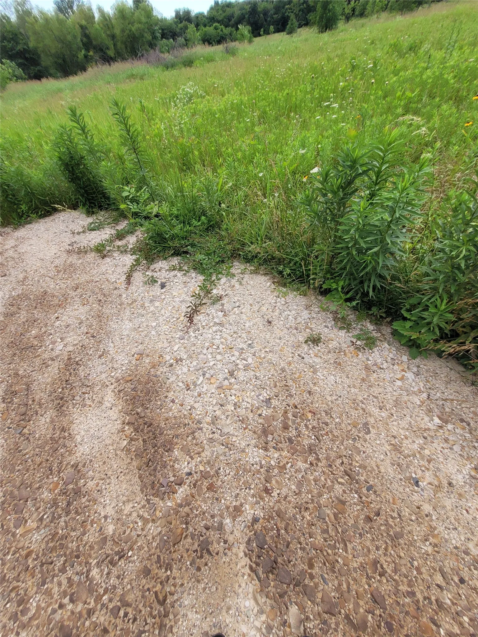 Unimproved Land For Sale in Red River (TX) County , 422 COUNTY ROAD 1345, Clarksville, Texas 75426, 0, 0, Garage spaces, 0 Sqft, built in 0, Price $99,000, mls#21294860, Real Estate Agent in Clarksville, Homes For Sale in Red River (TX) county, Homes For Sale in Clarksville, Realtor in Clarksville Texas, Real Estate Brokerage Independent Realty Texas, Luminita Cordes Realtor