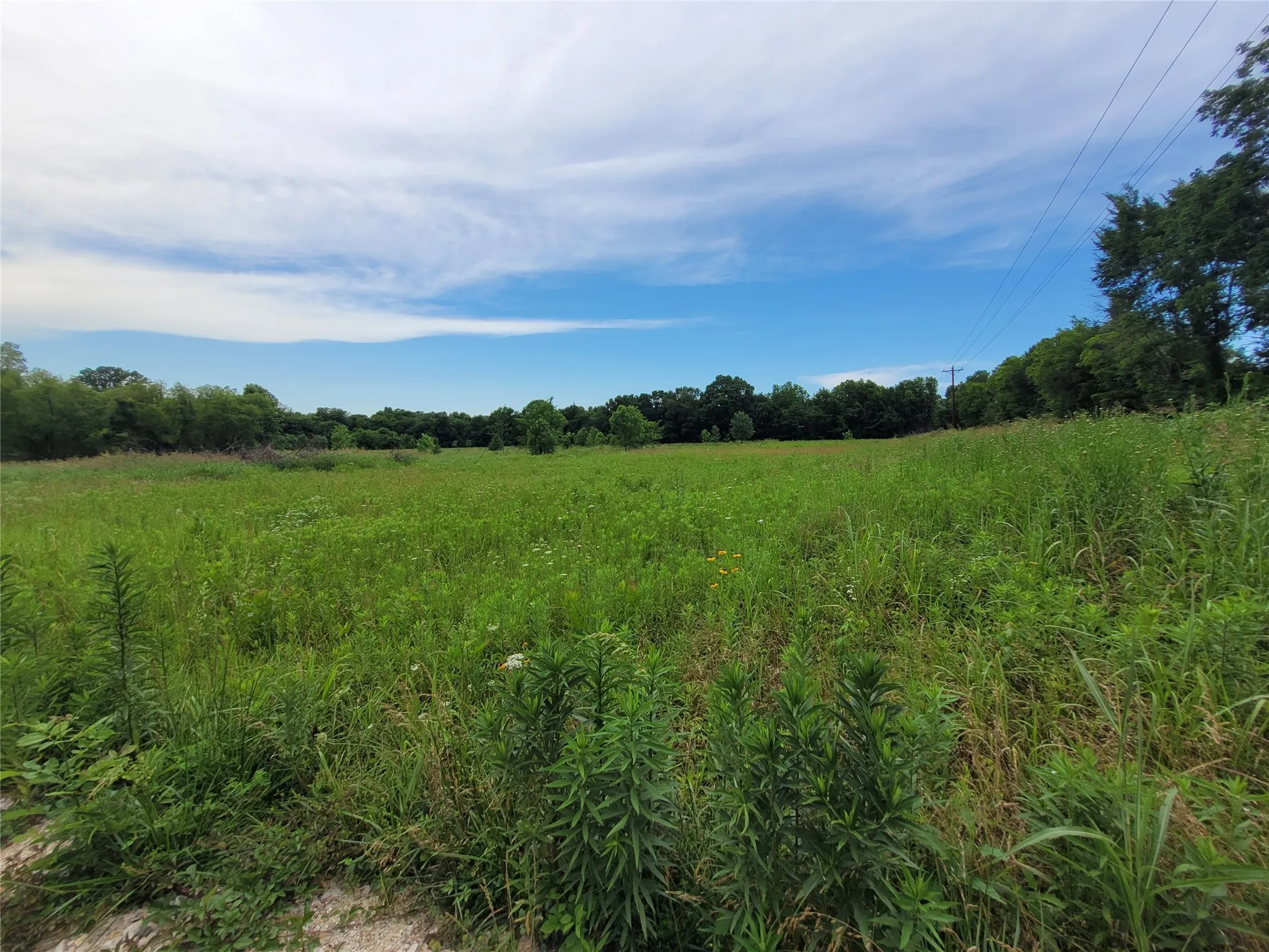 Unimproved Land For Sale in Red River (TX) County , 422 COUNTY ROAD 1345, Clarksville, Texas 75426, 0, 0, Garage spaces, 0 Sqft, built in 0, Price $99,000, mls#21294860, Real Estate Agent in Clarksville, Homes For Sale in Red River (TX) county, Homes For Sale in Clarksville, Realtor in Clarksville Texas, Real Estate Brokerage Independent Realty Texas, Luminita Cordes Realtor