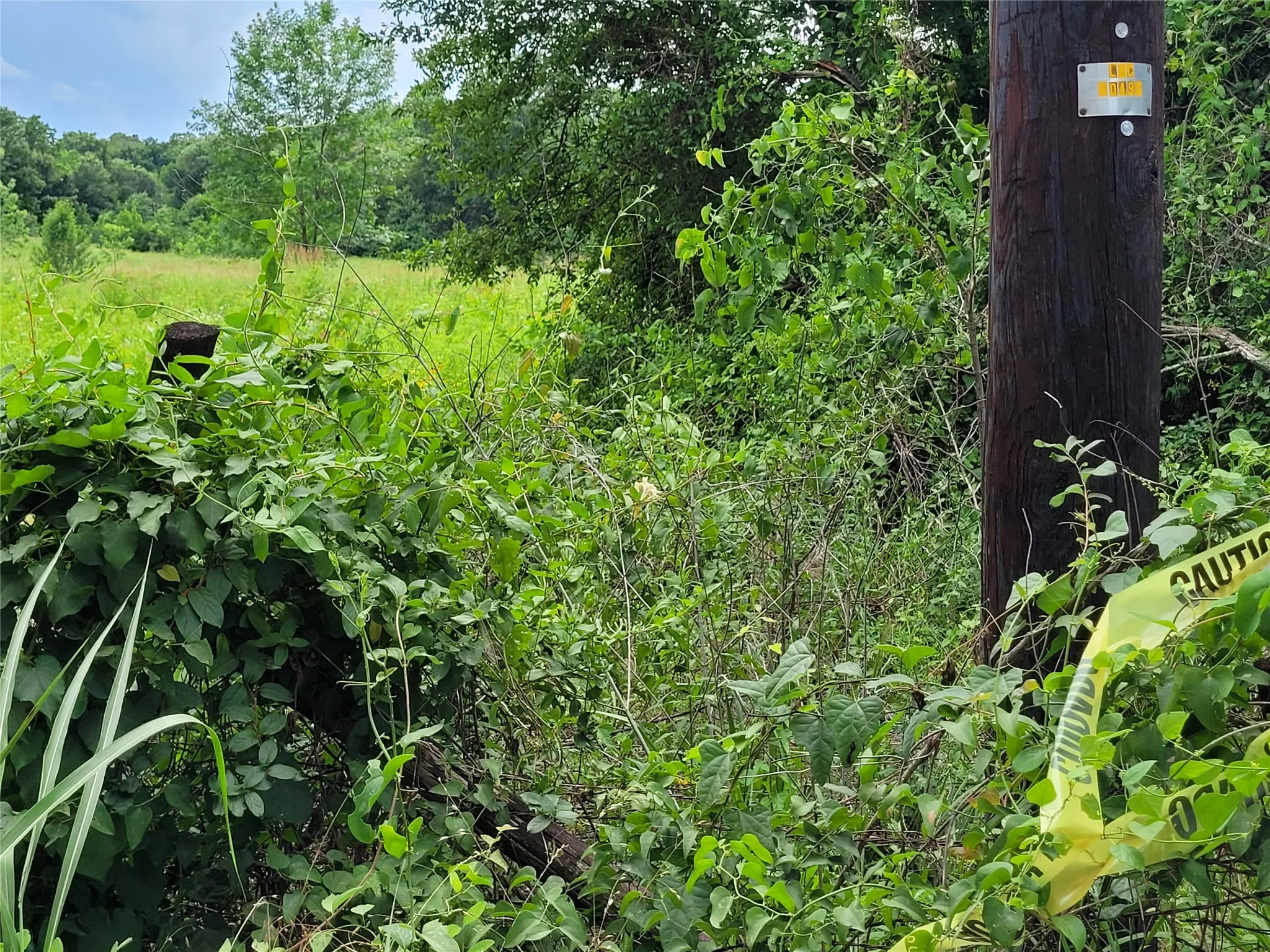 west boundary line post.