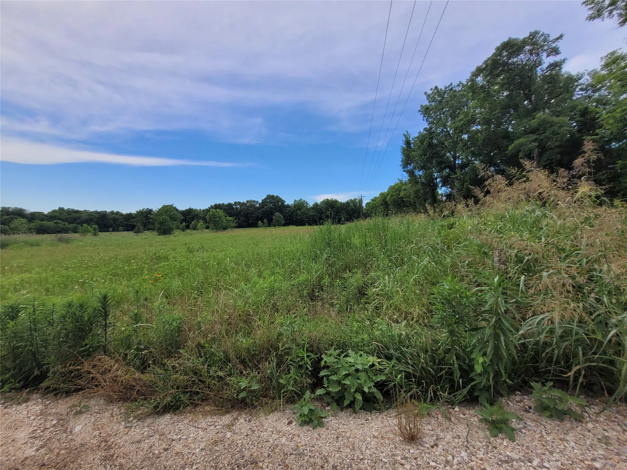 frontage looking west from eastern part of acreage