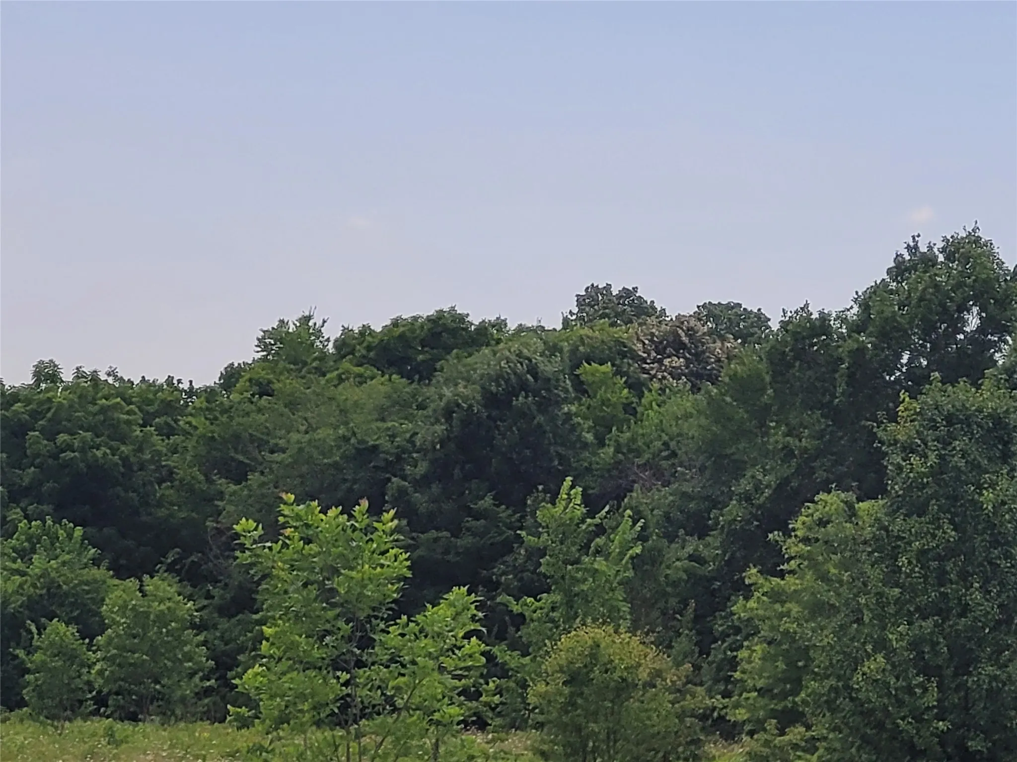 Unimproved Land For Sale in Red River (TX) County , 422 COUNTY ROAD 1345, Clarksville, Texas 75426, 0, 0, Garage spaces, 0 Sqft, built in 0, Price $99,000, mls#21294860, Real Estate Agent in Clarksville, Homes For Sale in Red River (TX) county, Homes For Sale in Clarksville, Realtor in Clarksville Texas, Real Estate Brokerage Independent Realty Texas, Luminita Cordes Realtor