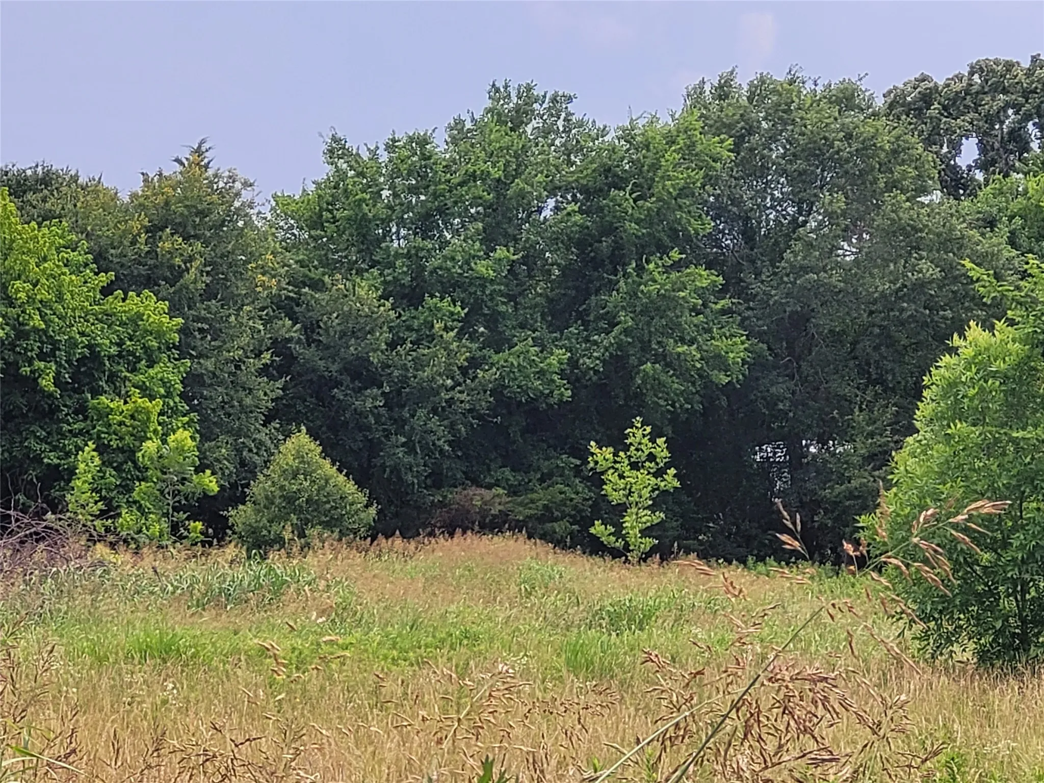 Unimproved Land For Sale in Red River (TX) County , 422 COUNTY ROAD 1345, Clarksville, Texas 75426, 0, 0, Garage spaces, 0 Sqft, built in 0, Price $99,000, mls#21294860, Real Estate Agent in Clarksville, Homes For Sale in Red River (TX) county, Homes For Sale in Clarksville, Realtor in Clarksville Texas, Real Estate Brokerage Independent Realty Texas, Luminita Cordes Realtor