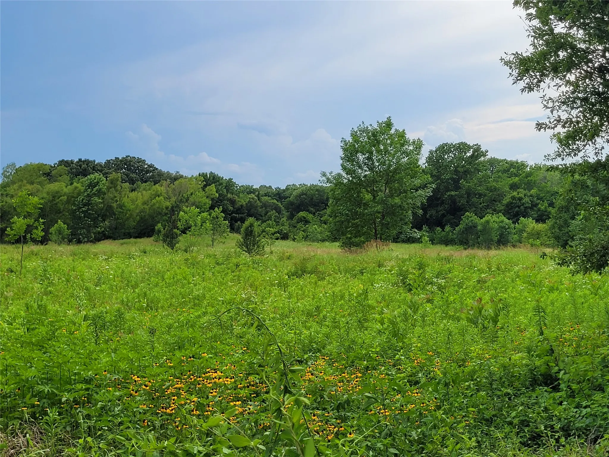 Unimproved Land For Sale in Red River (TX) County , 422 COUNTY ROAD 1345, Clarksville, Texas 75426, 0, 0, Garage spaces, 0 Sqft, built in 0, Price $99,000, mls#21294860, Real Estate Agent in Clarksville, Homes For Sale in Red River (TX) county, Homes For Sale in Clarksville, Realtor in Clarksville Texas, Real Estate Brokerage Independent Realty Texas, Luminita Cordes Realtor