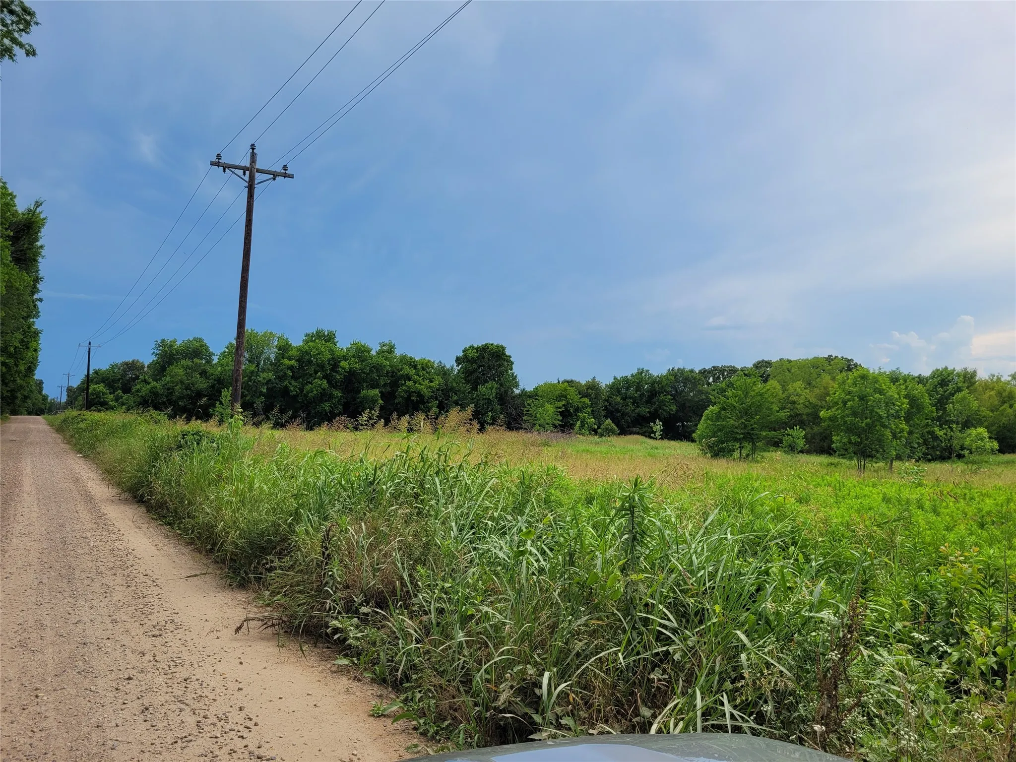 county road frontage view looking east from west end area of property.