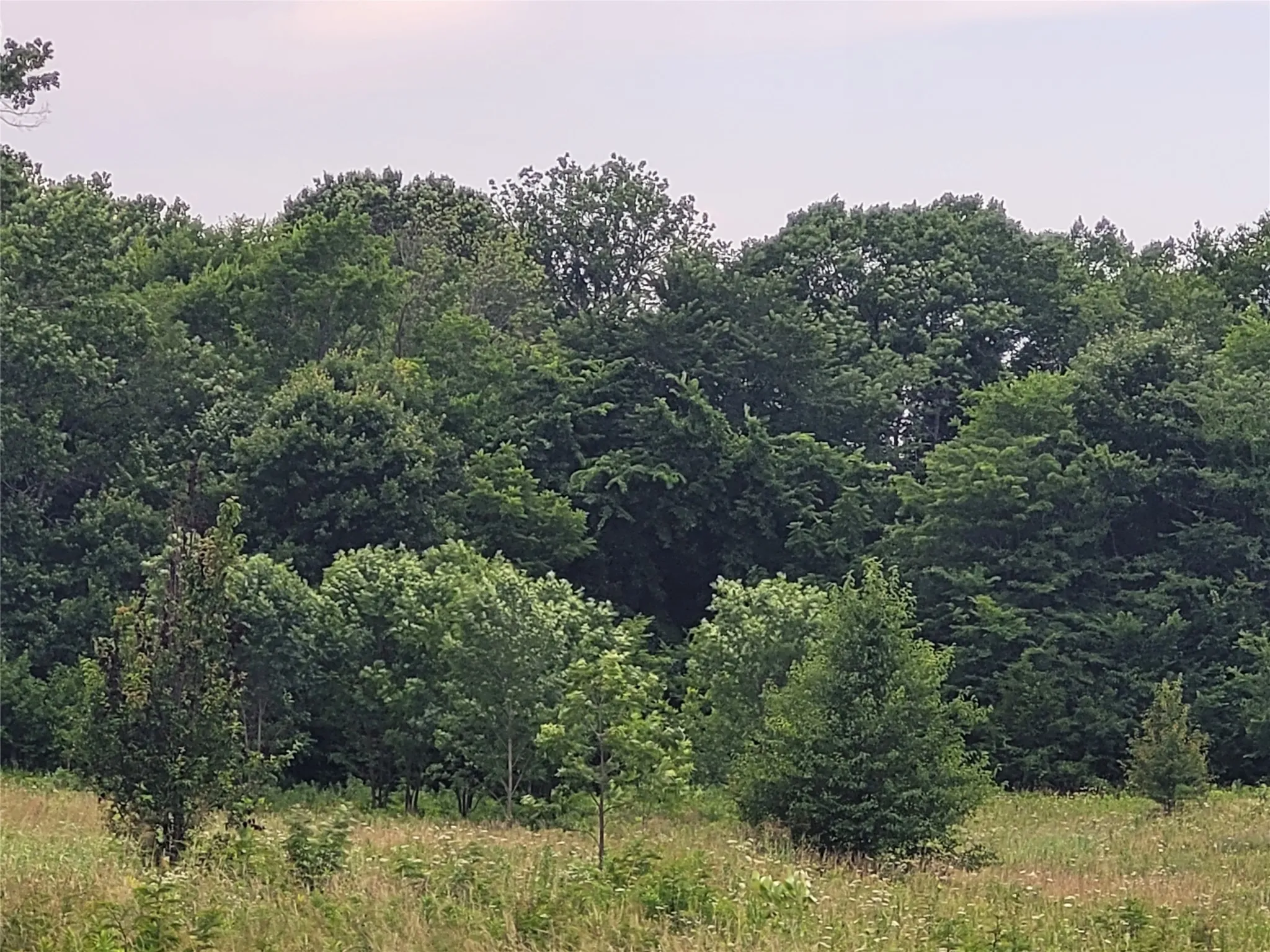 eastern backside of property.