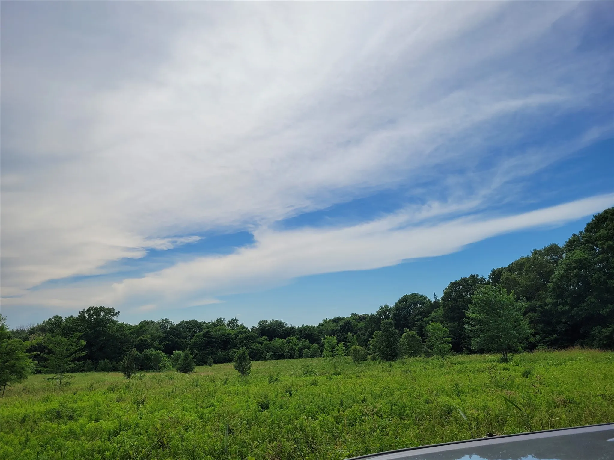 road view looking toward west boundary tree line.