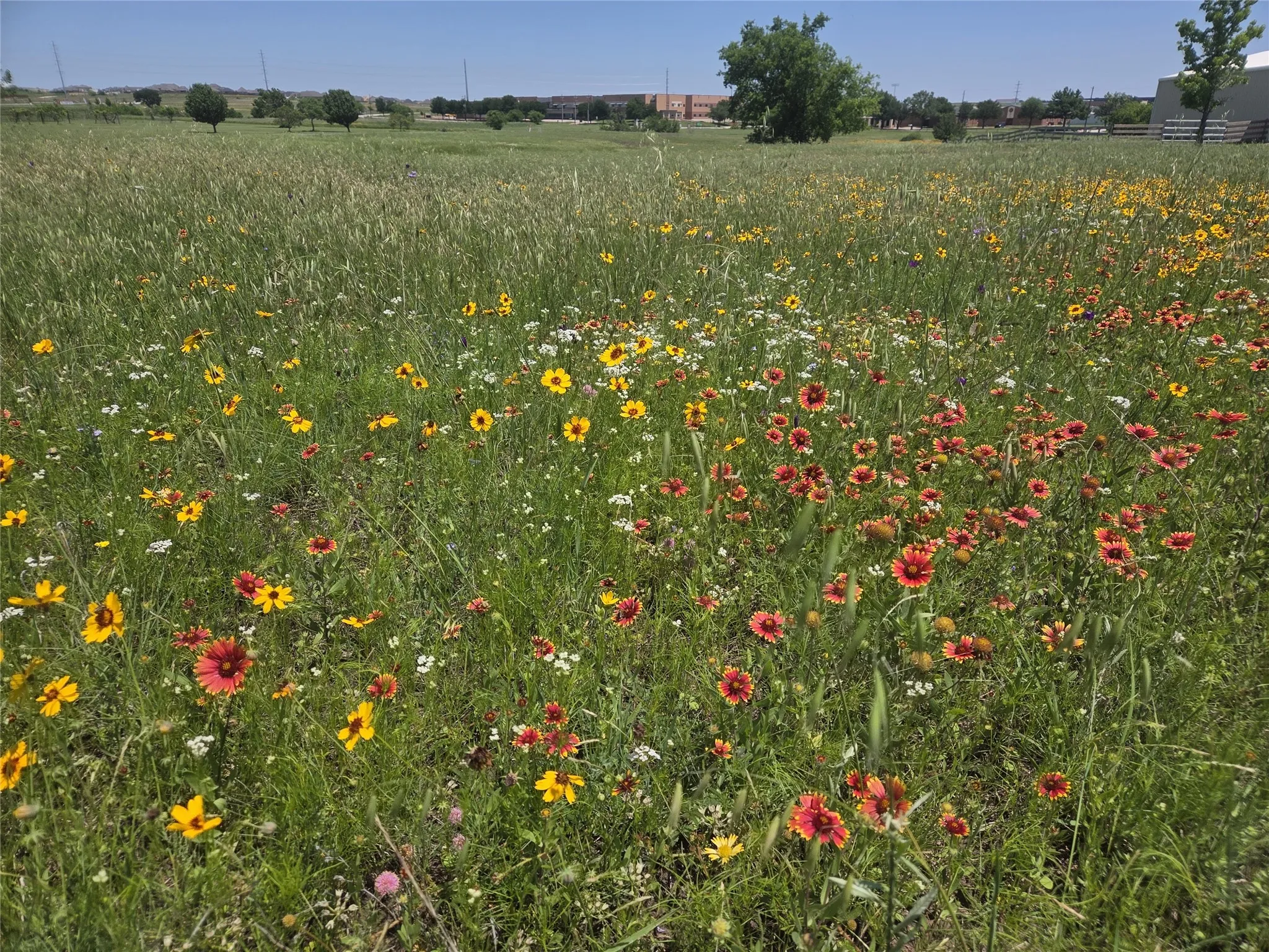 Unimproved Land For Sale in Wise County , TBD Savanna Drive, Rhome, Texas 76078, 0, 0, Garage spaces, 0 Sqft, built in 0, Price $225,000, mls#21296176, Real Estate Agent in Rhome, Homes For Sale in Wise county, Homes For Sale in Rhome, Realtor in Rhome Texas, Real Estate Brokerage Independent Realty Texas, Luminita Cordes Realtor