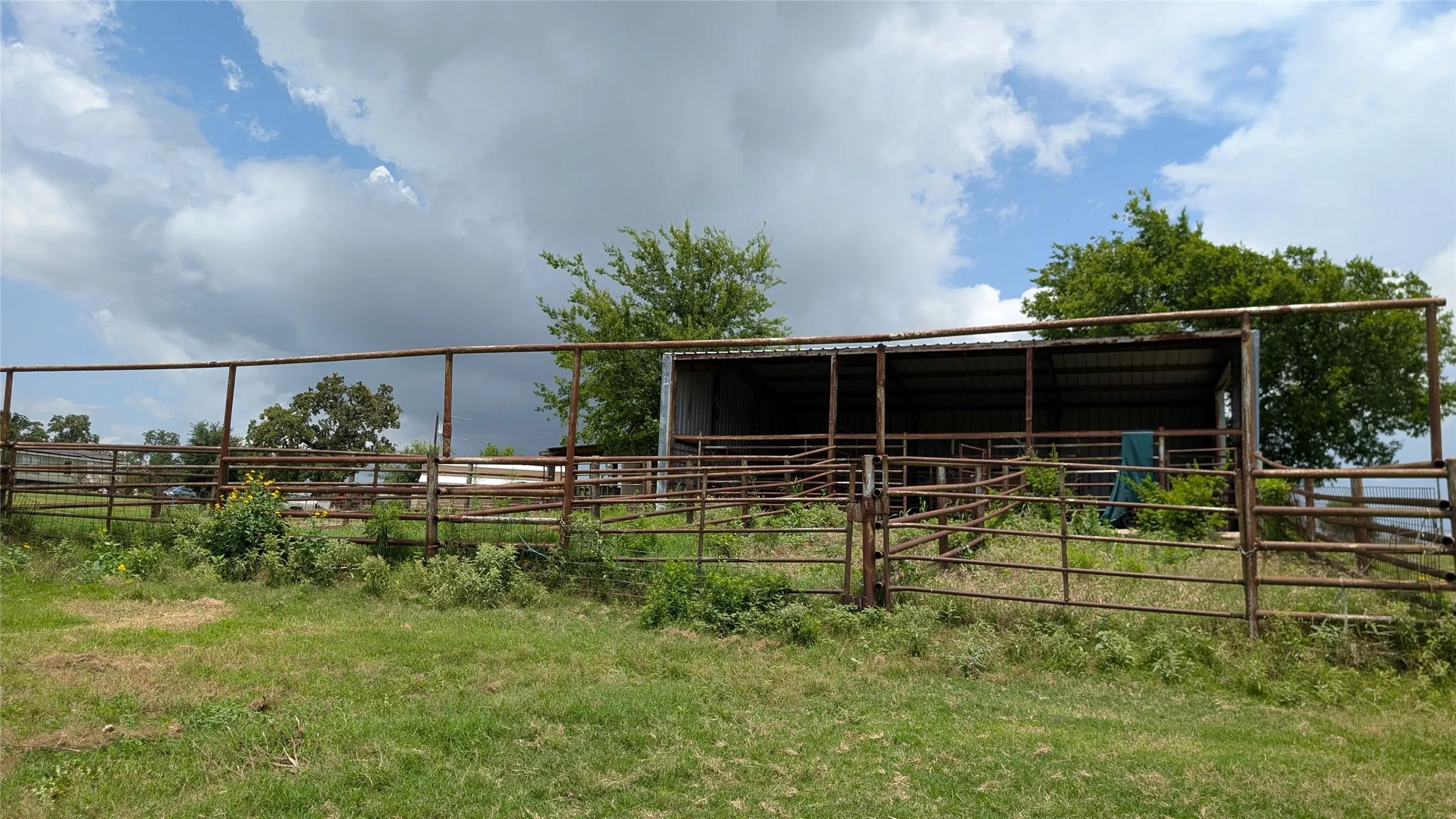 Farm For Sale in Milam County , 458 Fm 1600, Cameron, Texas 76520, 3 Bedroom, 2 Bathroom, Garage spaces, 1,860 Sqft, built in 2015, Price $775,000, mls#21296164, Real Estate Agent in Cameron, Homes For Sale in Milam county, Homes For Sale in Cameron, Realtor in Cameron Texas, Real Estate Brokerage Independent Realty Texas, Luminita Cordes Realtor