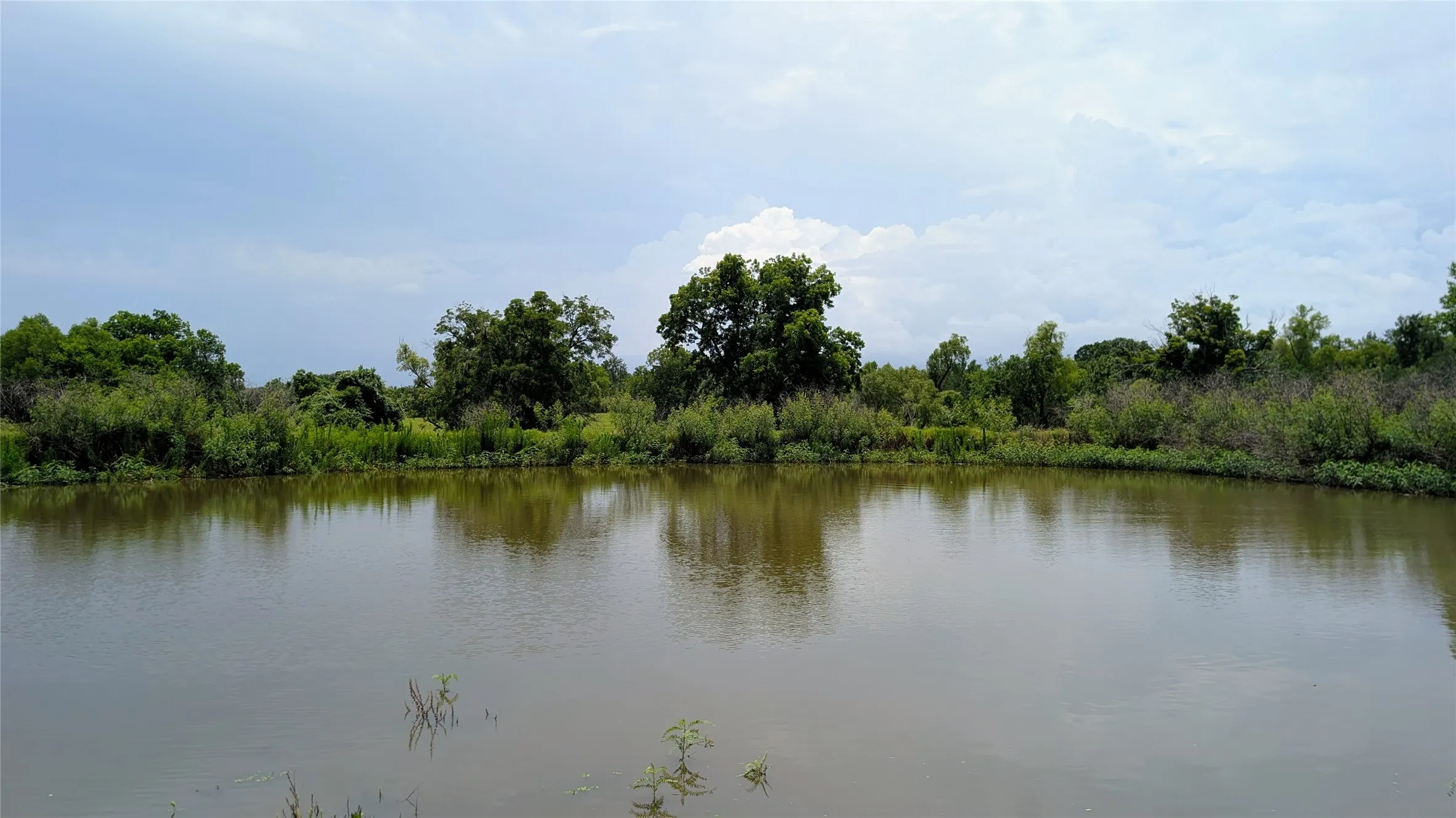 Farm For Sale in Milam County , 458 Fm 1600, Cameron, Texas 76520, 3 Bedroom, 2 Bathroom, Garage spaces, 1,860 Sqft, built in 2015, Price $775,000, mls#21296164, Real Estate Agent in Cameron, Homes For Sale in Milam county, Homes For Sale in Cameron, Realtor in Cameron Texas, Real Estate Brokerage Independent Realty Texas, Luminita Cordes Realtor