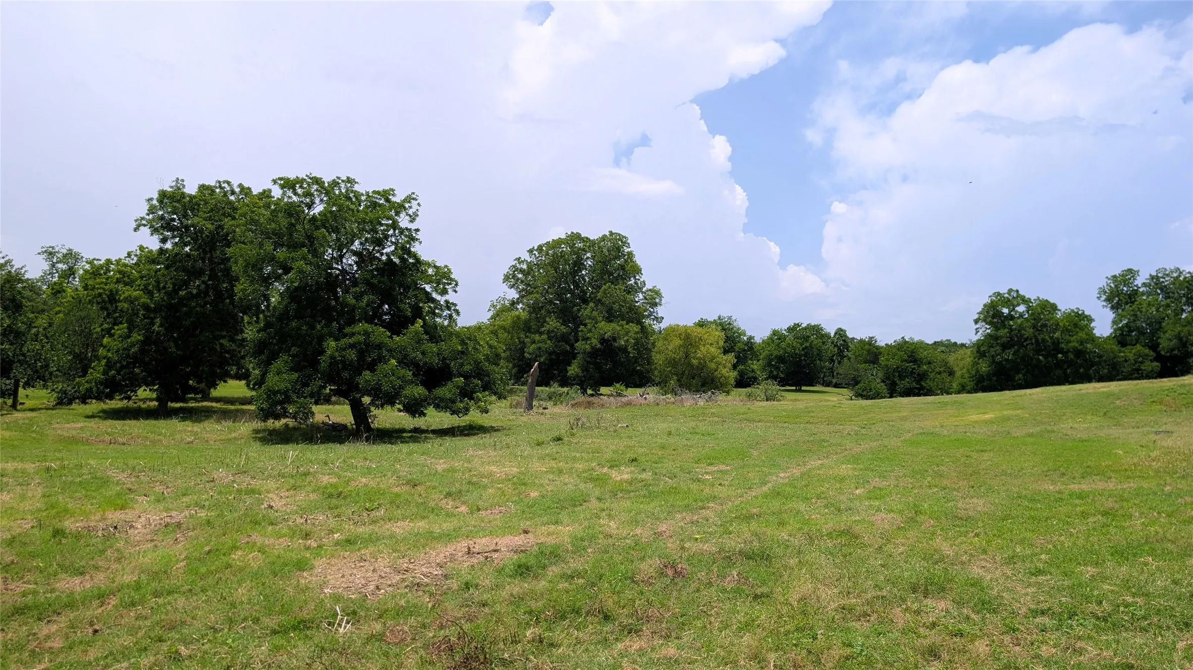 Farm For Sale in Milam County , 458 Fm 1600, Cameron, Texas 76520, 3 Bedroom, 2 Bathroom, Garage spaces, 1,860 Sqft, built in 2015, Price $775,000, mls#21296164, Real Estate Agent in Cameron, Homes For Sale in Milam county, Homes For Sale in Cameron, Realtor in Cameron Texas, Real Estate Brokerage Independent Realty Texas, Luminita Cordes Realtor