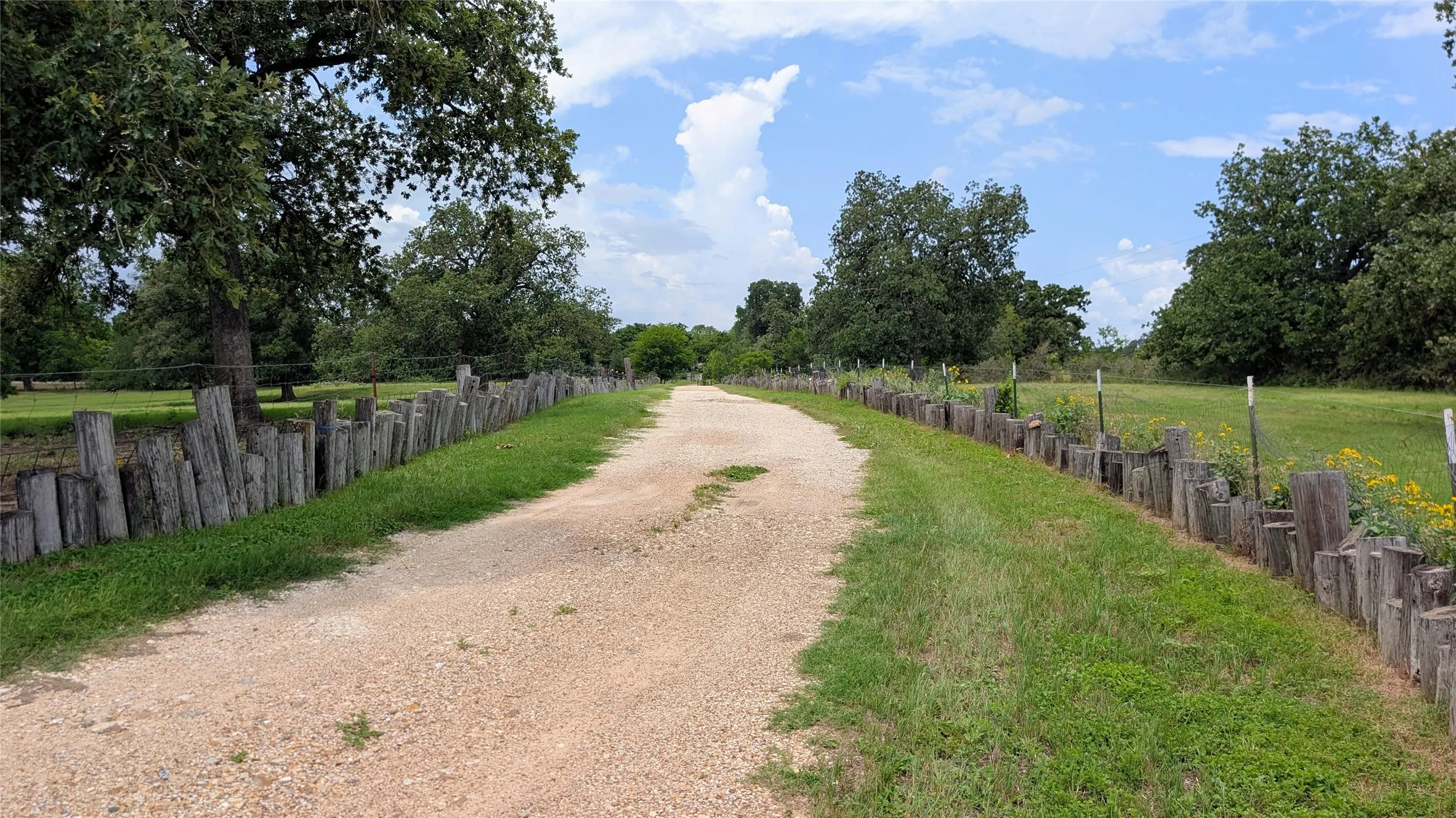 Farm For Sale in Milam County , 458 Fm 1600, Cameron, Texas 76520, 3 Bedroom, 2 Bathroom, Garage spaces, 1,860 Sqft, built in 2015, Price $775,000, mls#21296164, Real Estate Agent in Cameron, Homes For Sale in Milam county, Homes For Sale in Cameron, Realtor in Cameron Texas, Real Estate Brokerage Independent Realty Texas, Luminita Cordes Realtor