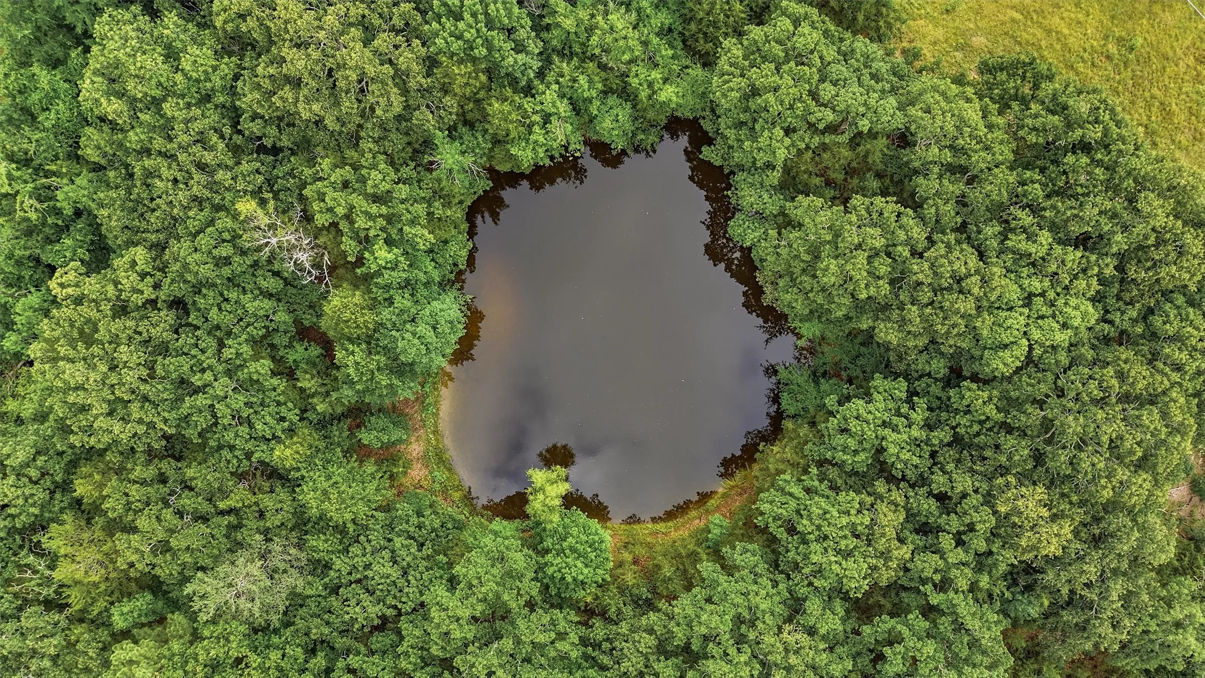 Unimproved Land For Sale in Grayson County , TBD Fm 131, Denison, Texas 75020, 0, 0, Garage spaces, 0 Sqft, built in 0, Price $600,000, mls#21296312, Real Estate Agent in Denison, Homes For Sale in Grayson county, Homes For Sale in Denison, Realtor in Denison Texas, Real Estate Brokerage Independent Realty Texas, Luminita Cordes Realtor
