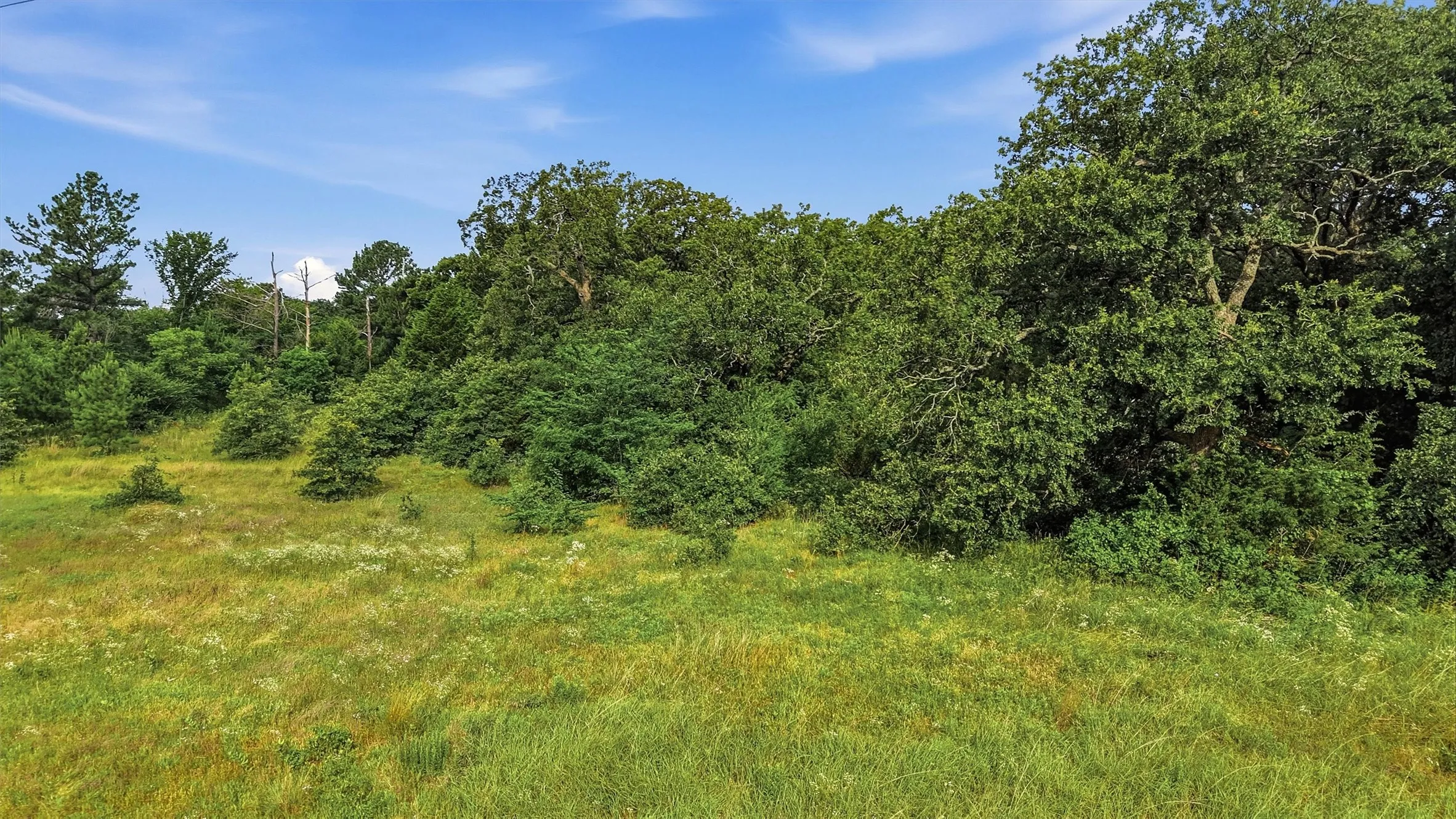Unimproved Land For Sale in Grayson County , TBD Fm 131, Denison, Texas 75020, 0, 0, Garage spaces, 0 Sqft, built in 0, Price $600,000, mls#21296312, Real Estate Agent in Denison, Homes For Sale in Grayson county, Homes For Sale in Denison, Realtor in Denison Texas, Real Estate Brokerage Independent Realty Texas, Luminita Cordes Realtor