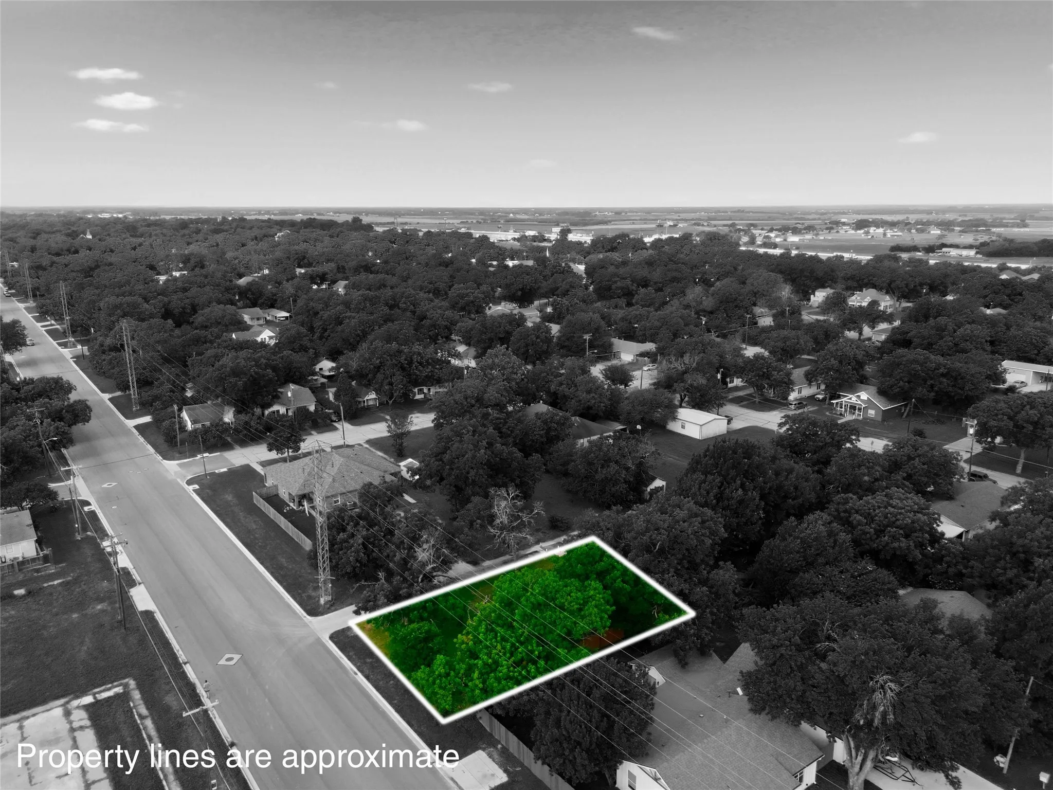 Expansive lot featuring mature trees, a clear street frontage, and established utility access